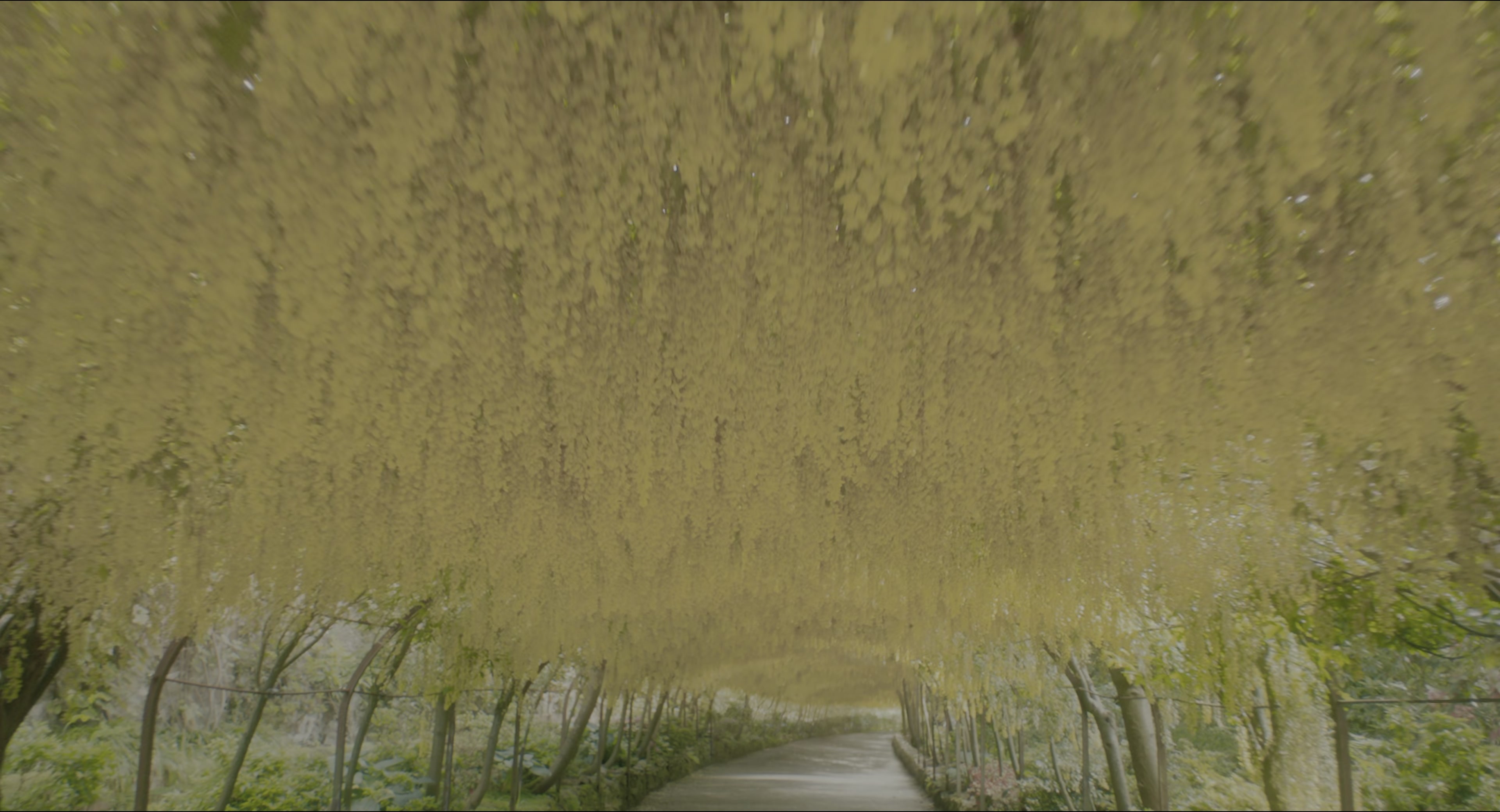The Secret Garden (2020), wide, 1.85:1 — film still