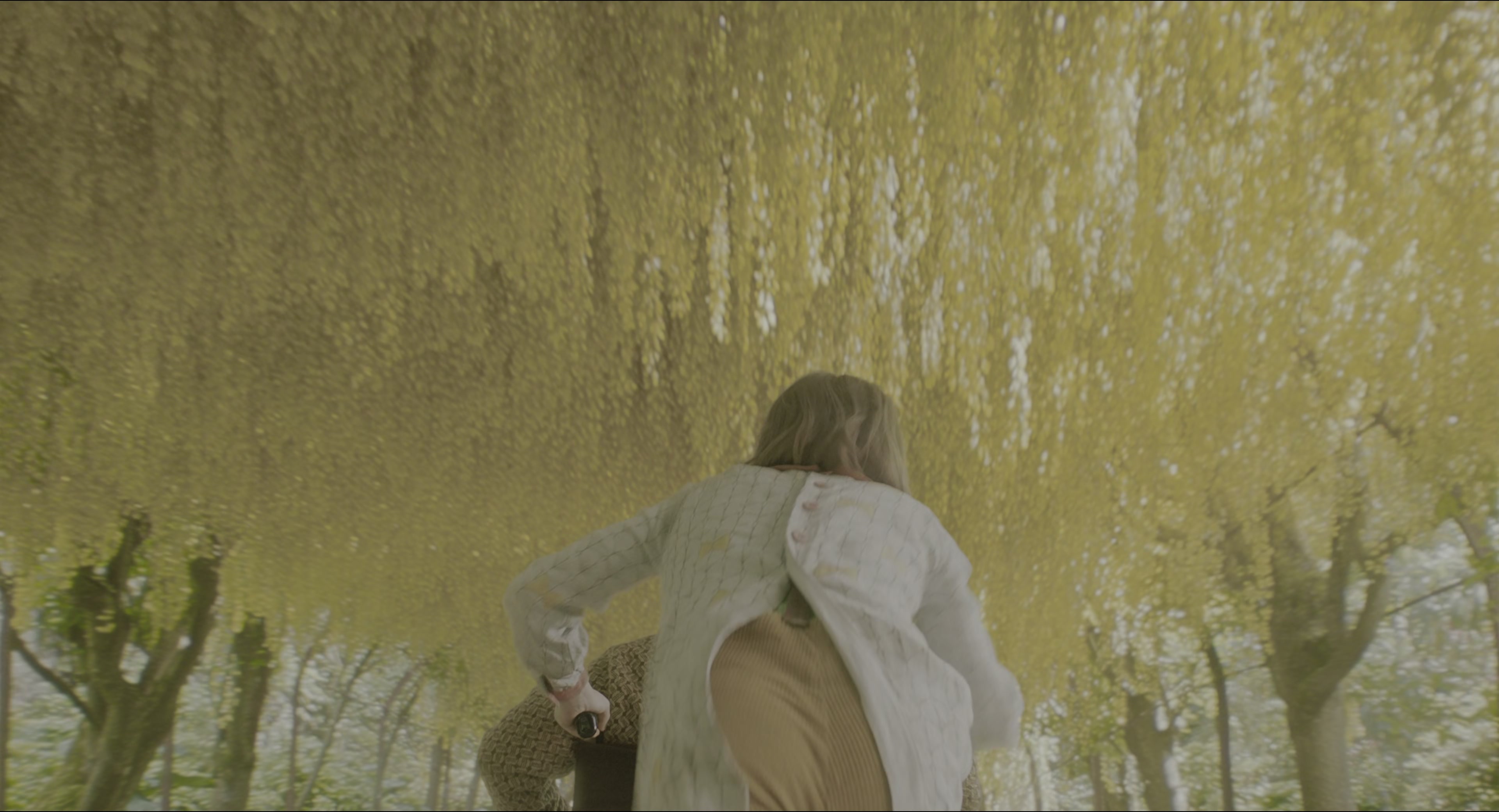 The Secret Garden (2020), wide, 1.85:1 — film still