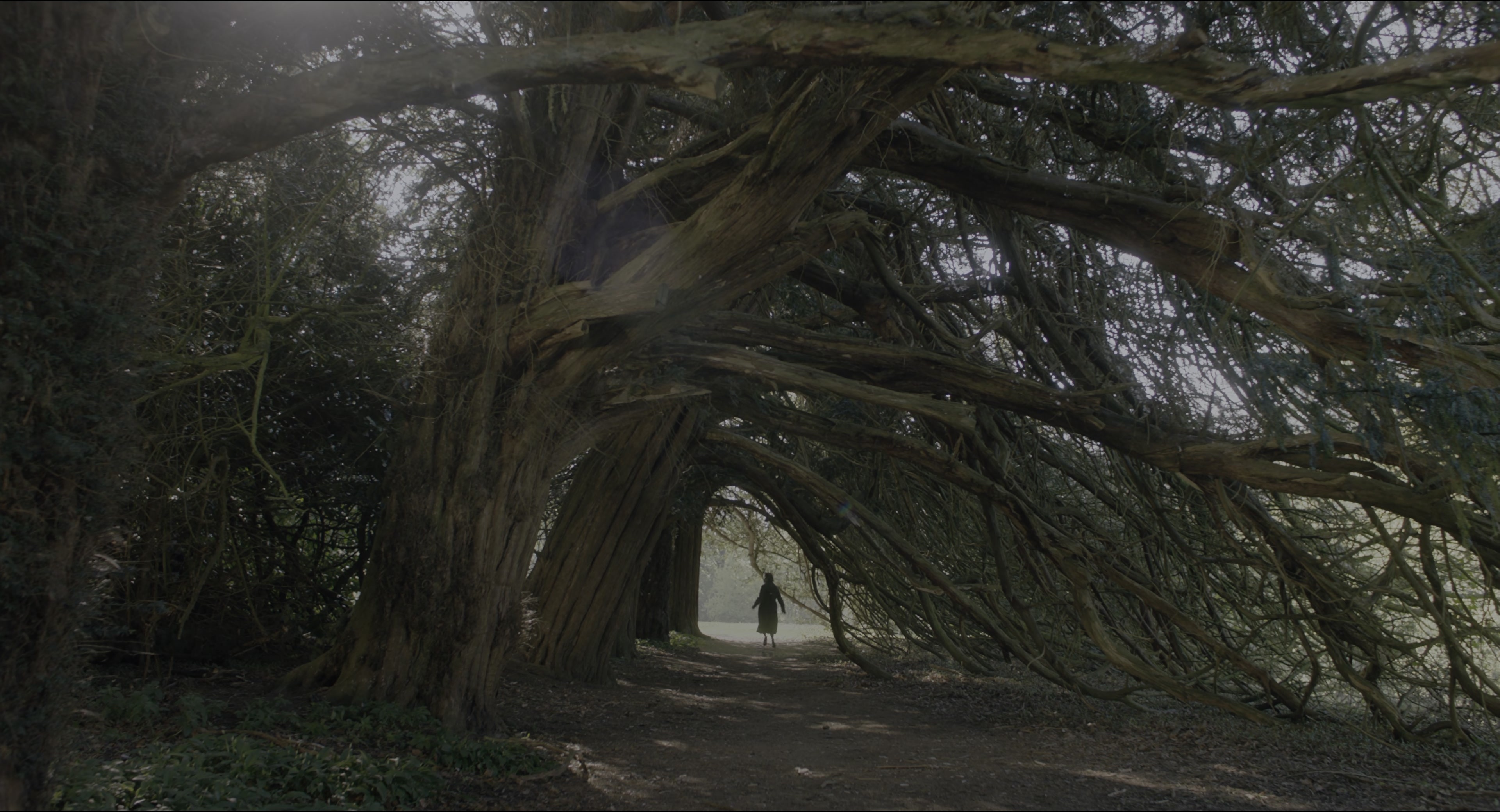 The Secret Garden (2020), wide, 1.85:1 — film still