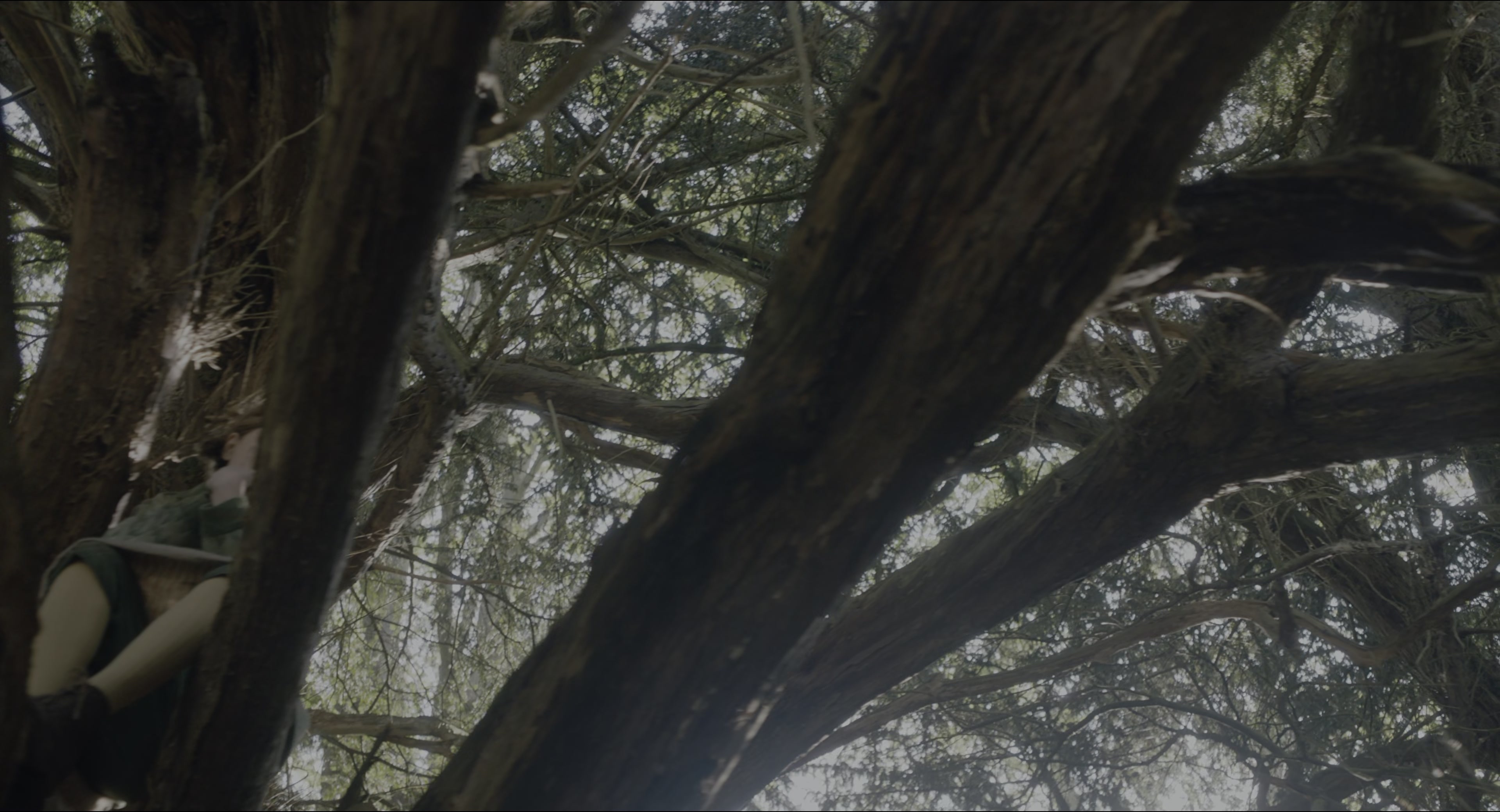 The Secret Garden (2020), wide, 1.85:1 — film still