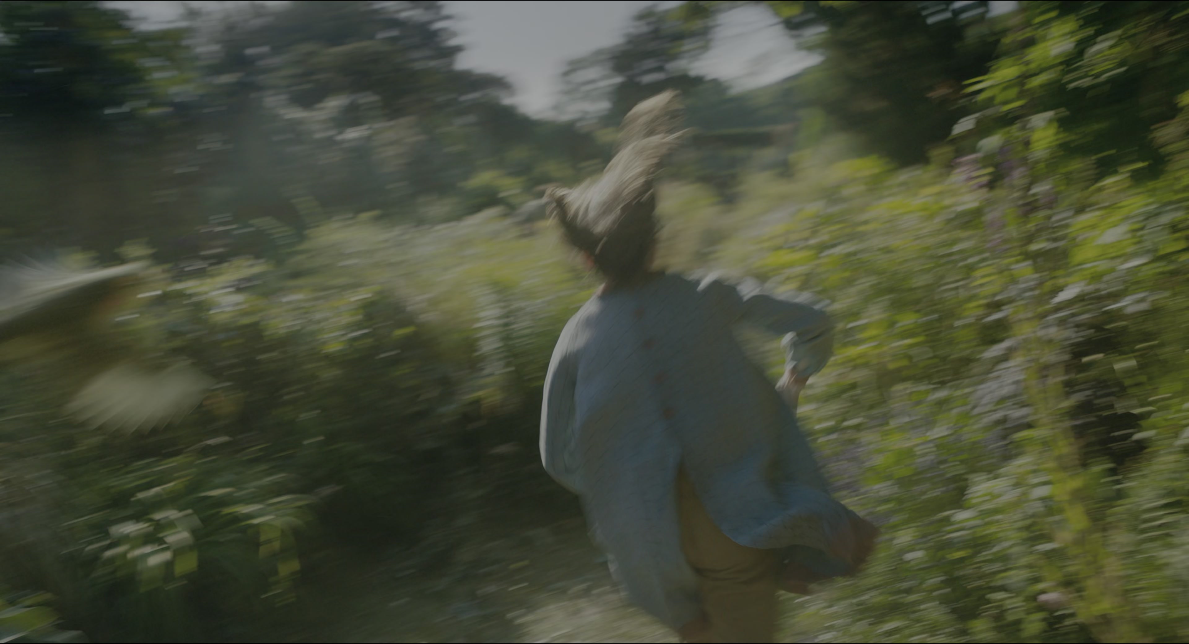 The Secret Garden (2020), wide, 1.85:1 — film still