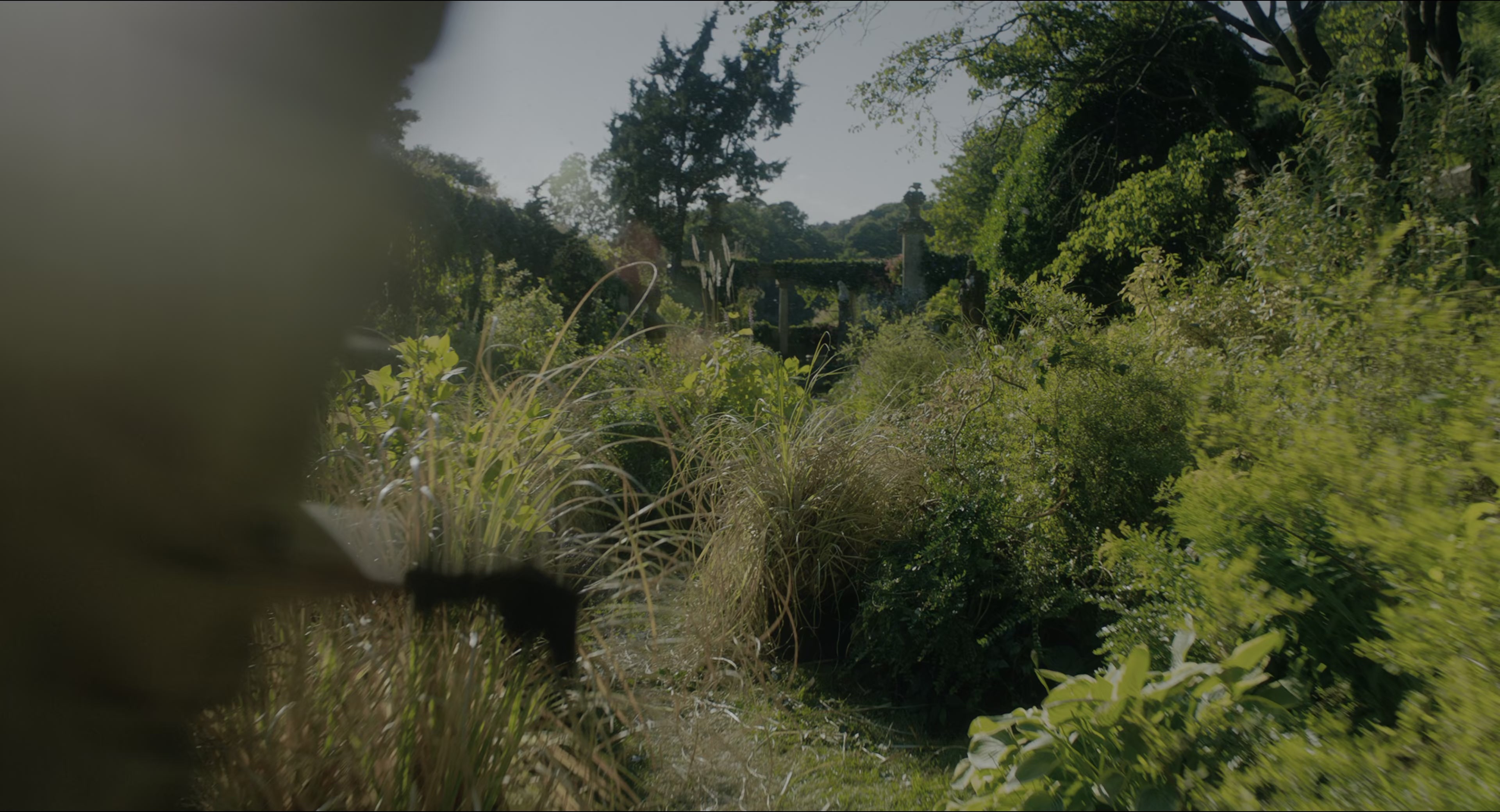 The Secret Garden (2020), wide, 1.85:1 — film still
