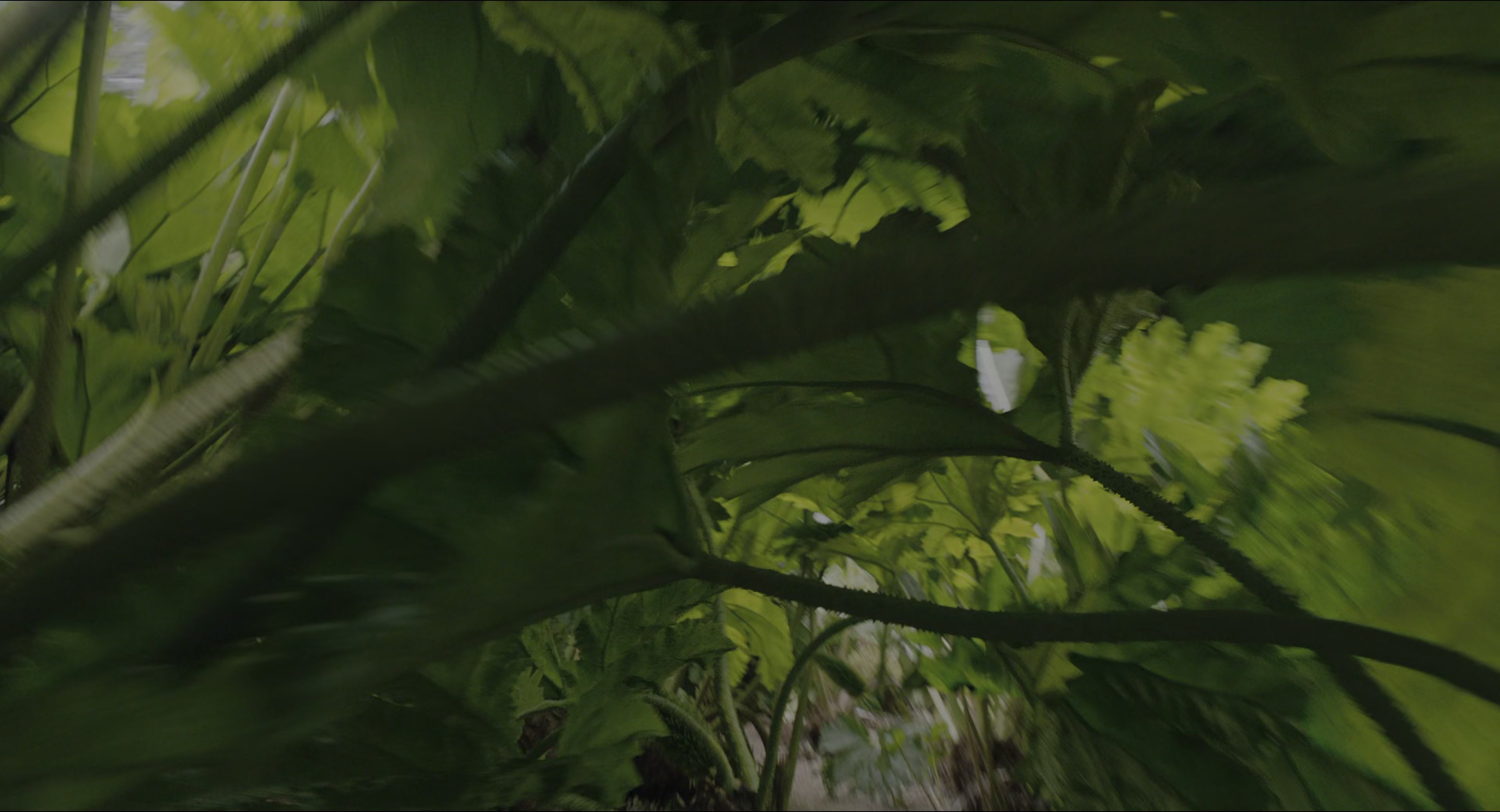 The Secret Garden (2020), wide, 1.85:1 — film still