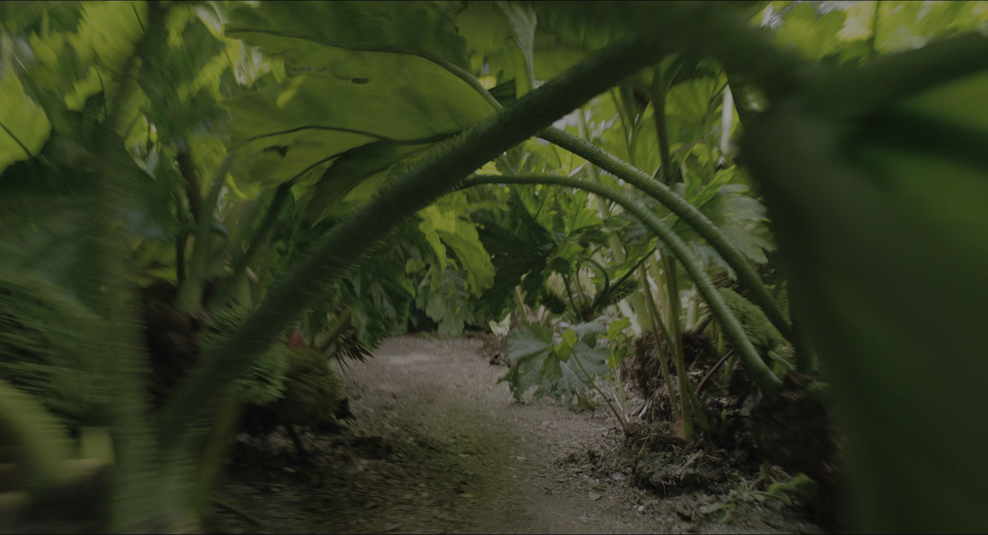 The Secret Garden (2020), wide, 1.85:1 — film still