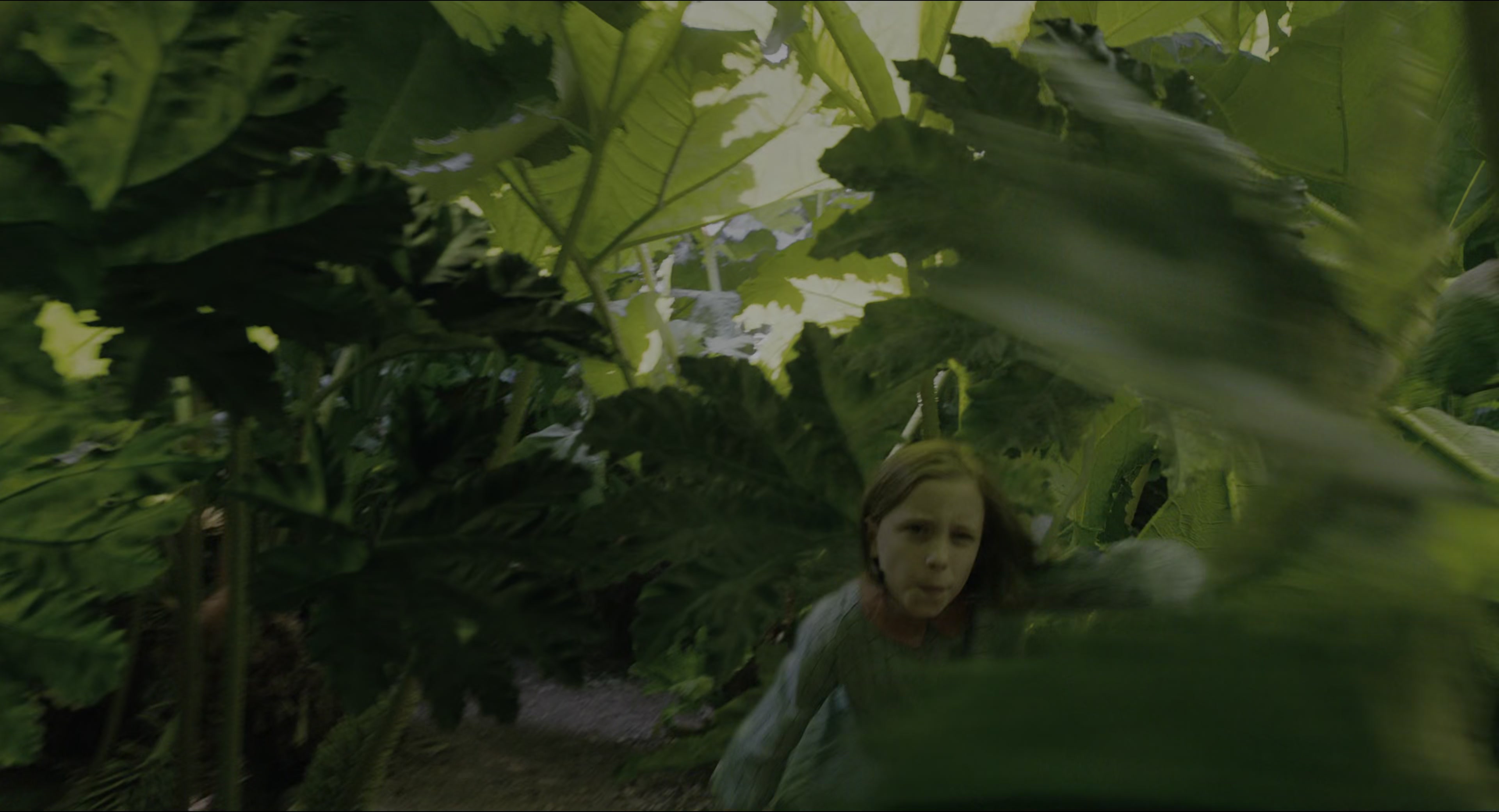 The Secret Garden (2020), wide, 1.85:1 — film still