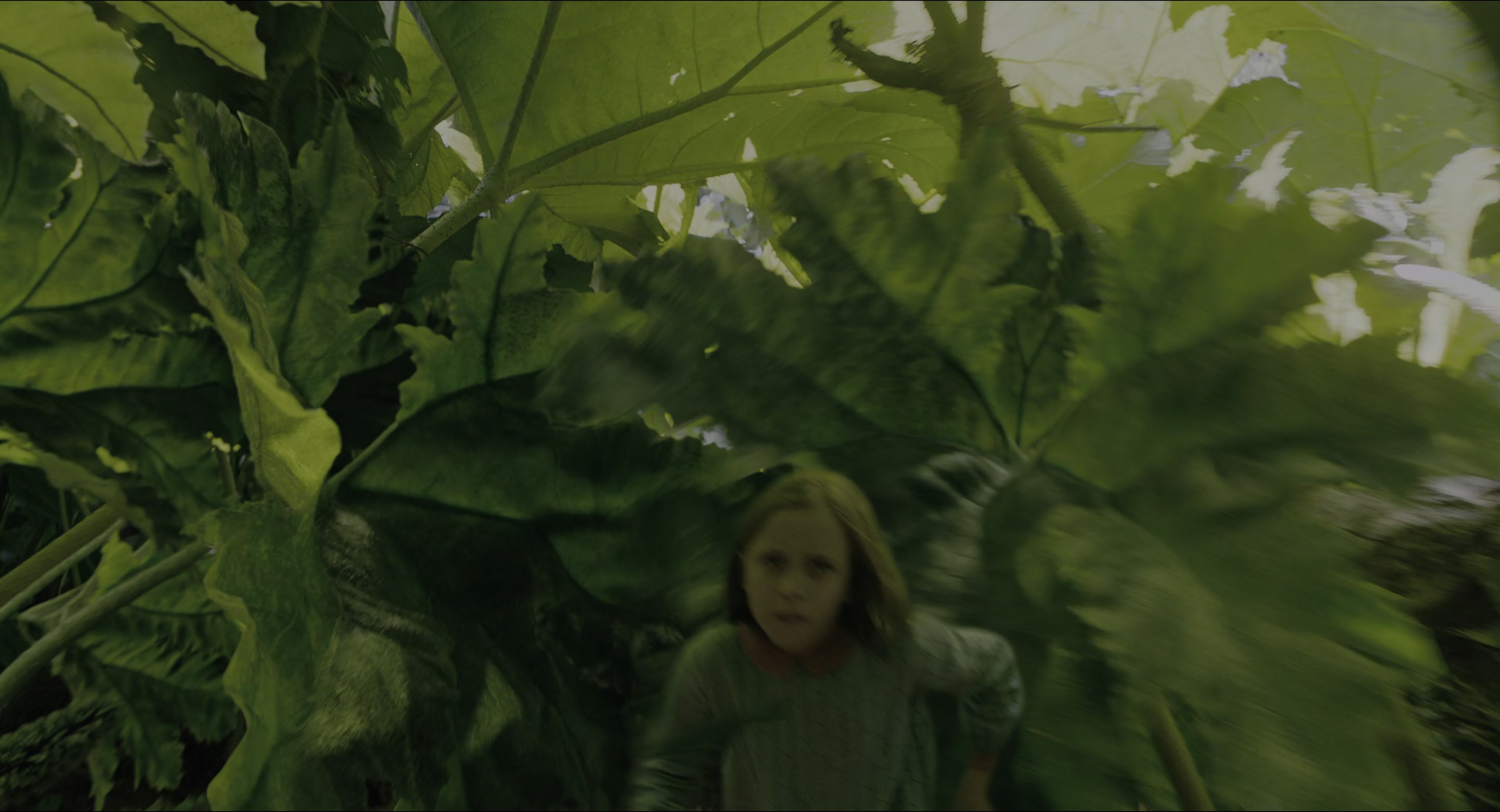 The Secret Garden (2020), wide, 1.85:1 — film still