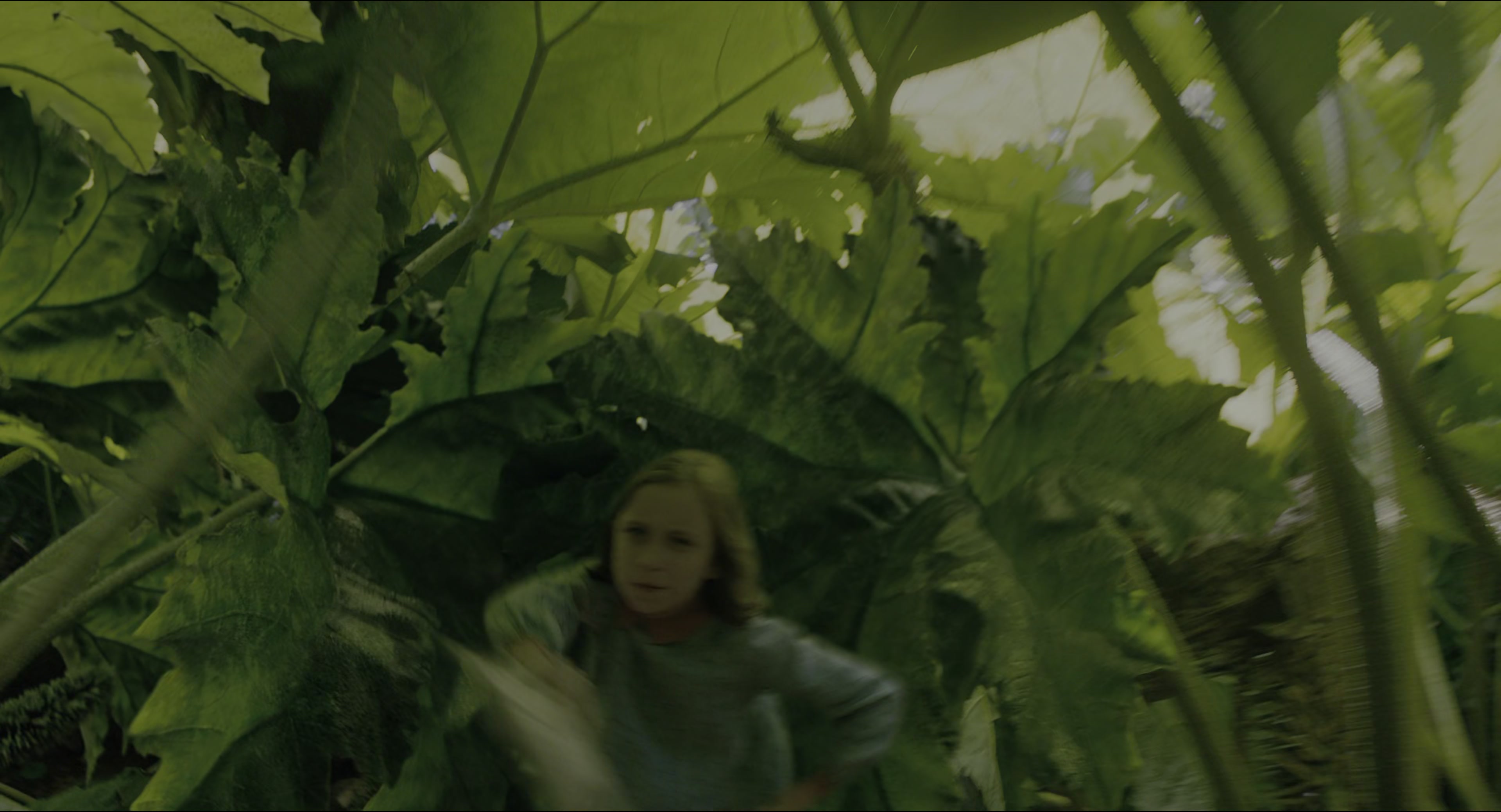 The Secret Garden (2020), wide, 1.85:1 — film still