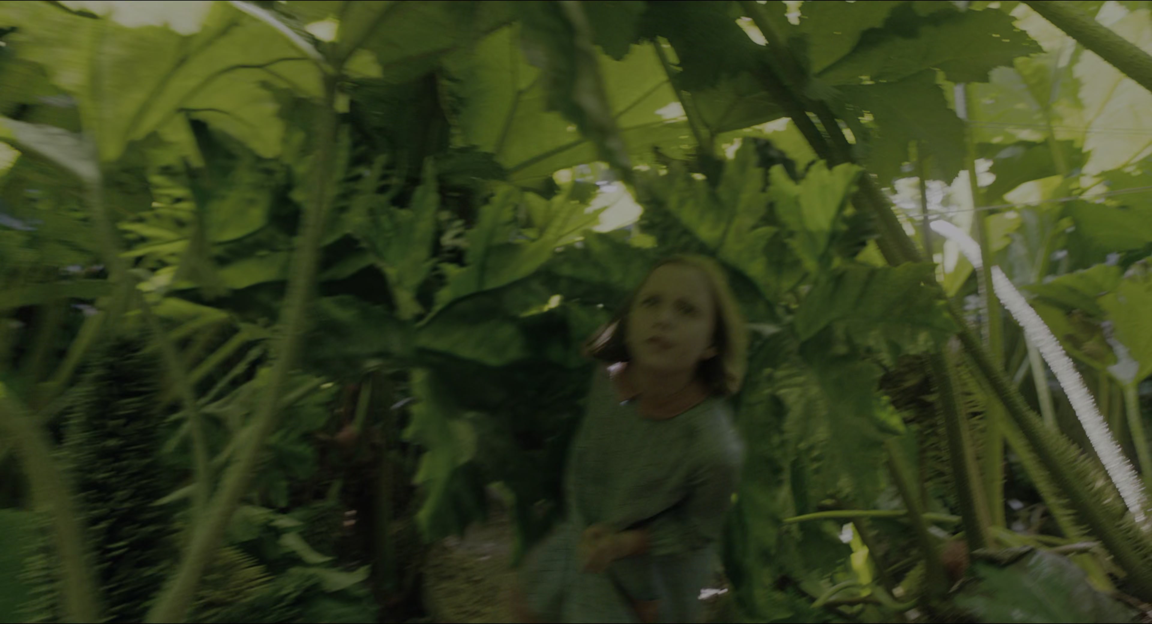 The Secret Garden (2020), wide, 1.85:1 — film still