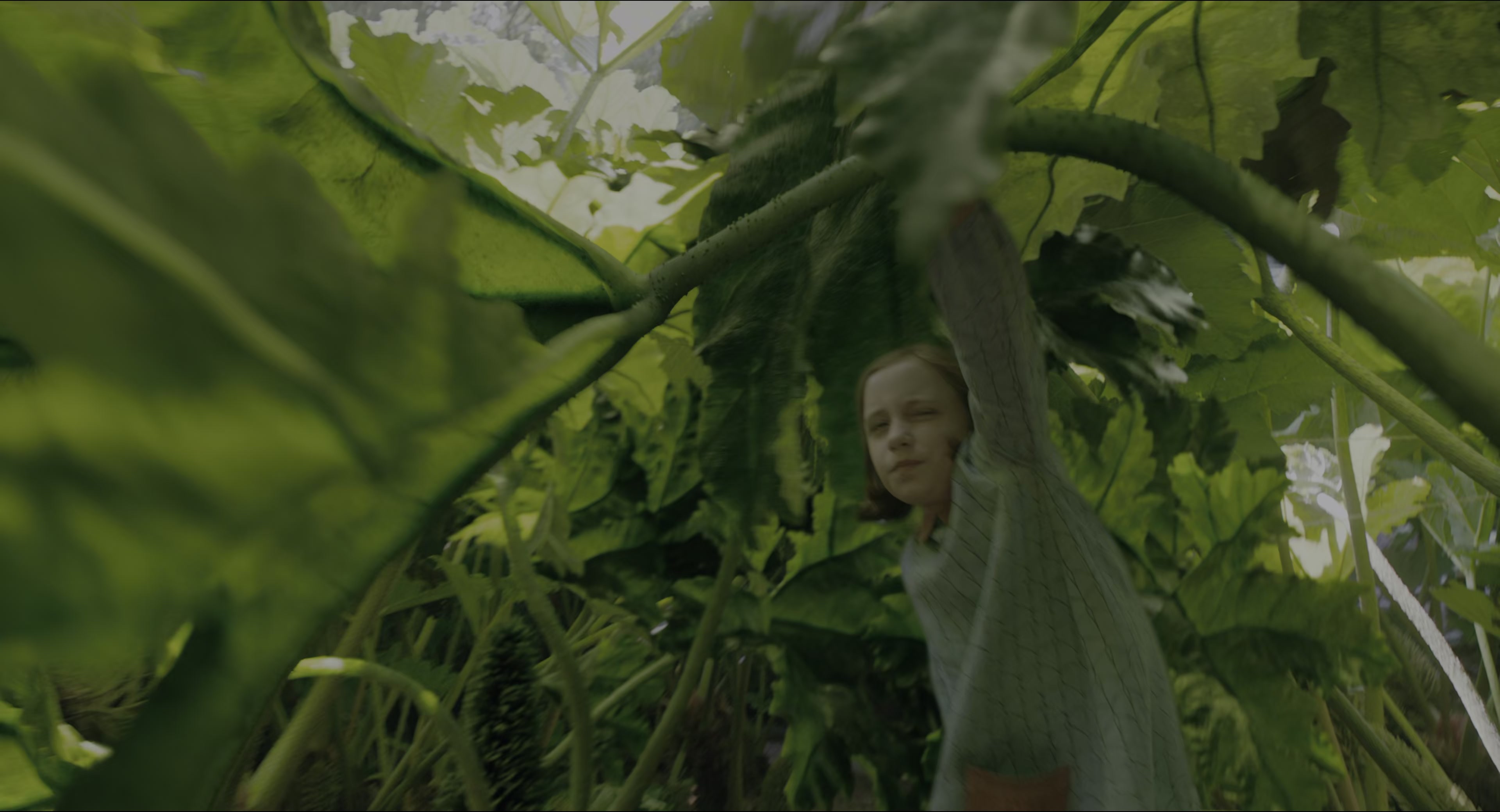 The Secret Garden (2020), wide, 1.85:1 — film still