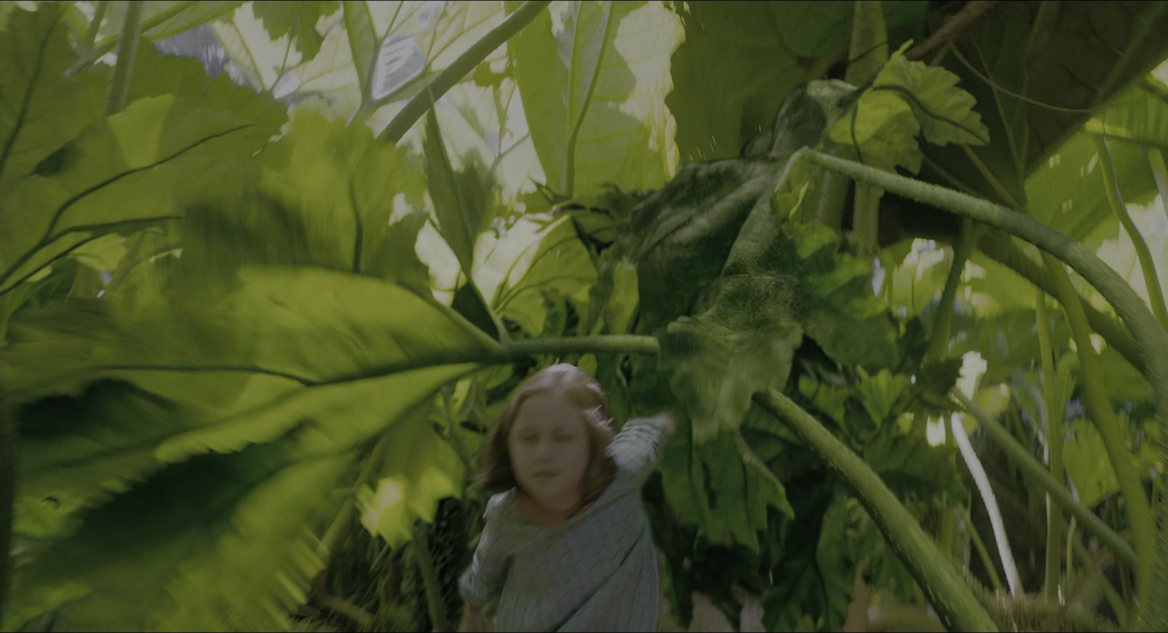 The Secret Garden (2020), wide, 1.85:1 — film still