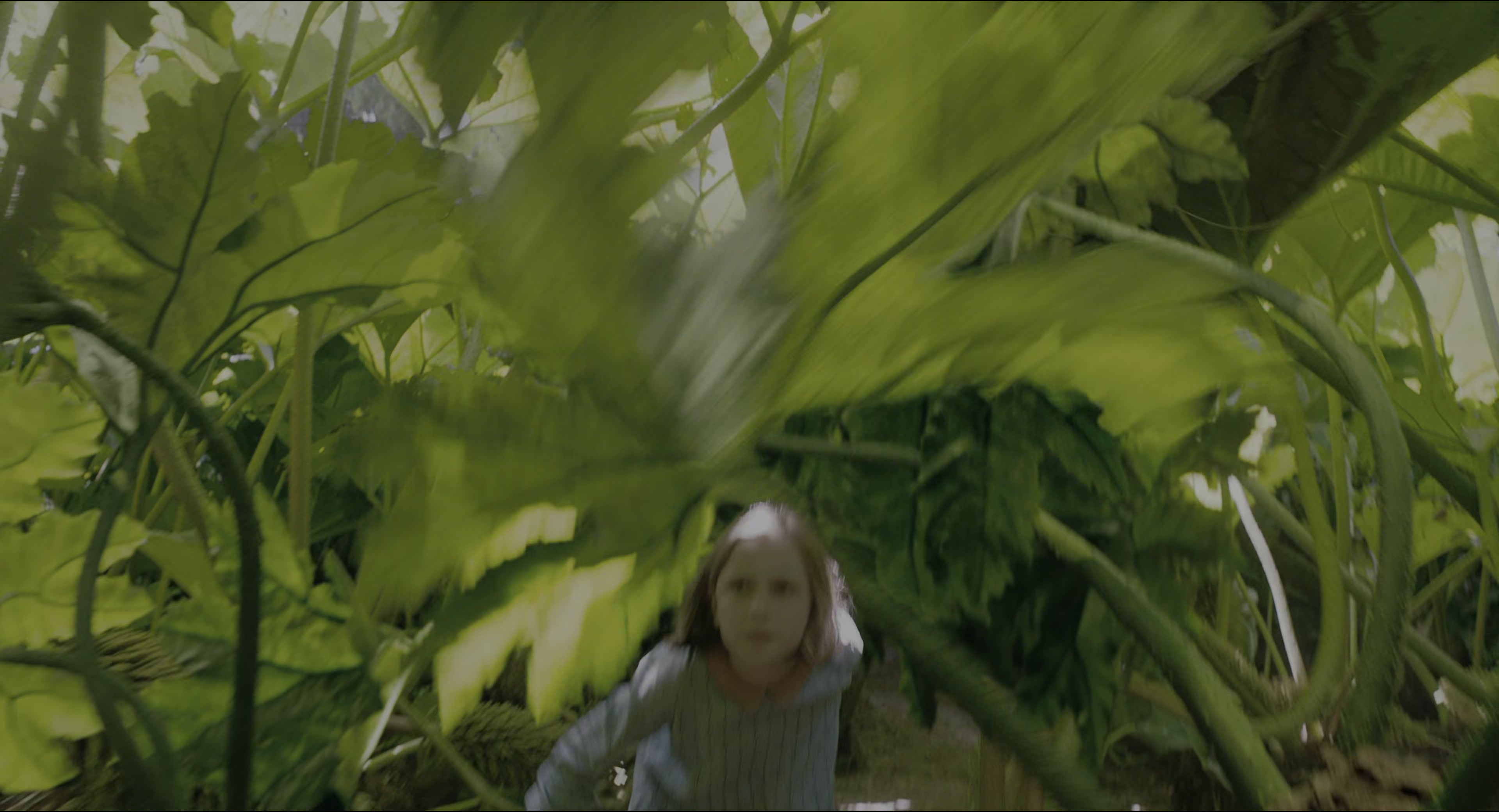 The Secret Garden (2020), wide, 1.85:1 — film still