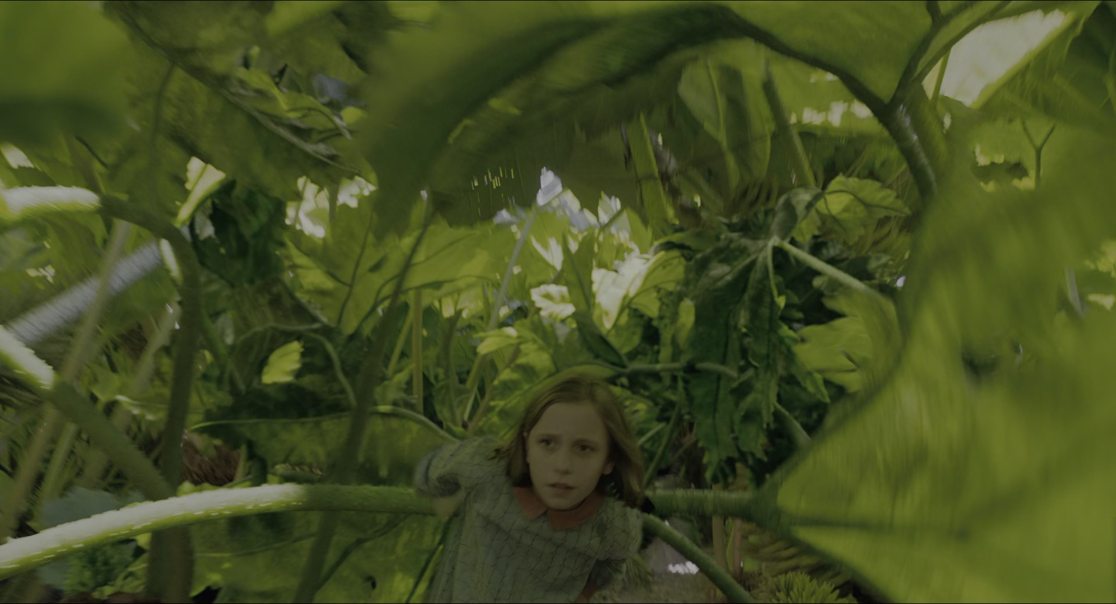 The Secret Garden (2020), wide, 1.85:1 — film still