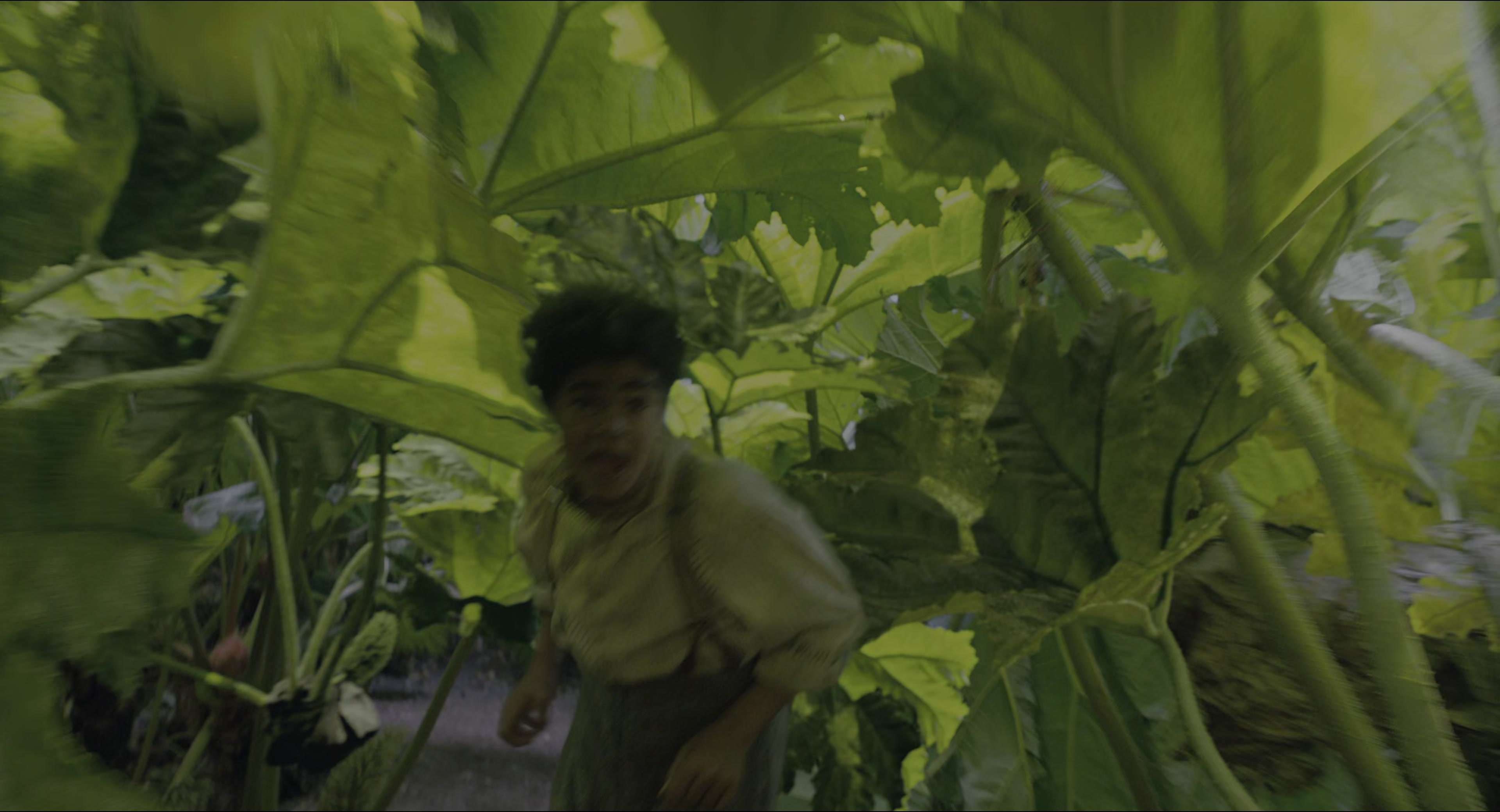 The Secret Garden (2020), wide, 1.85:1 — film still