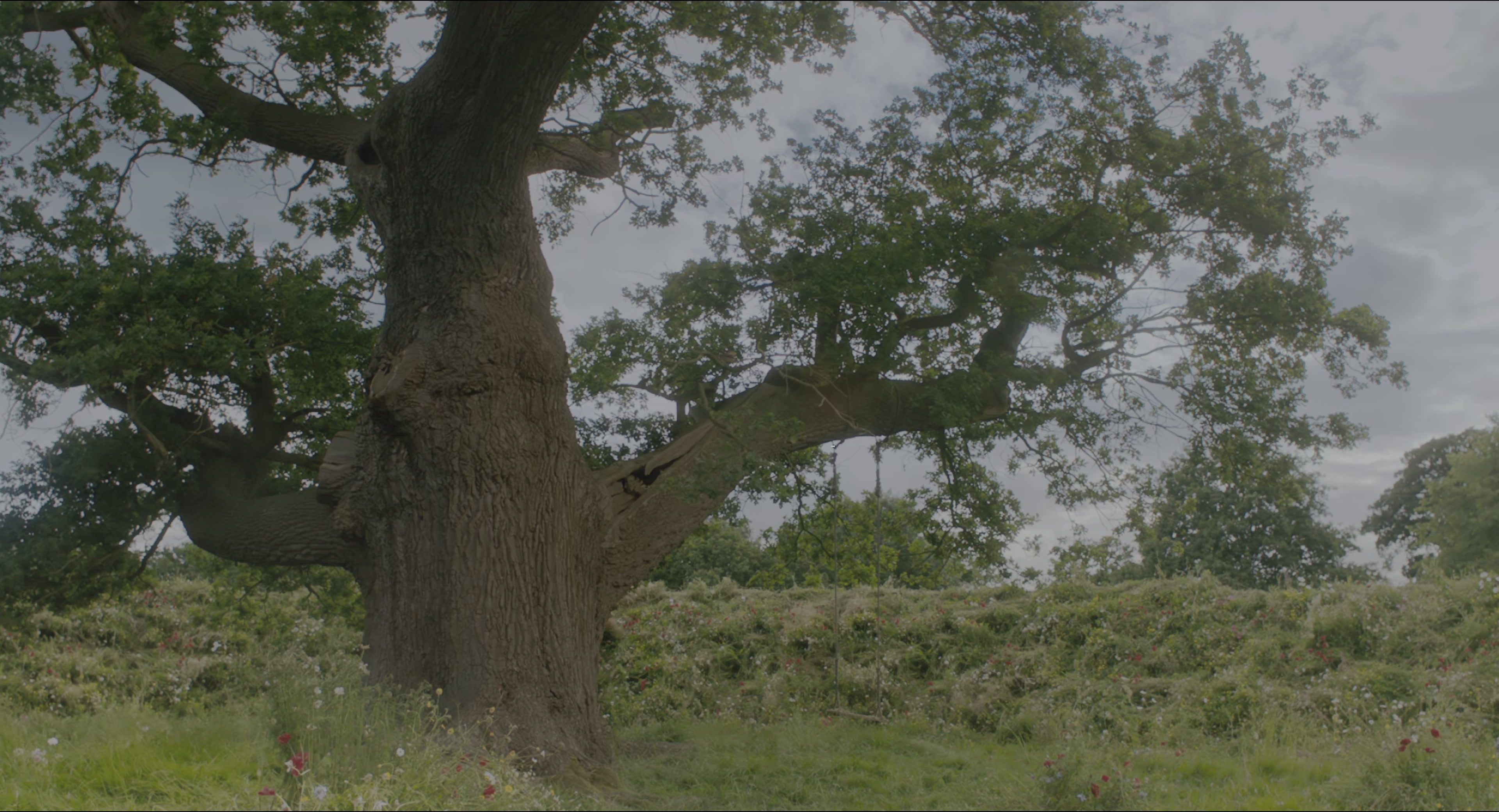 The Secret Garden (2020), wide, 1.85:1 — film still