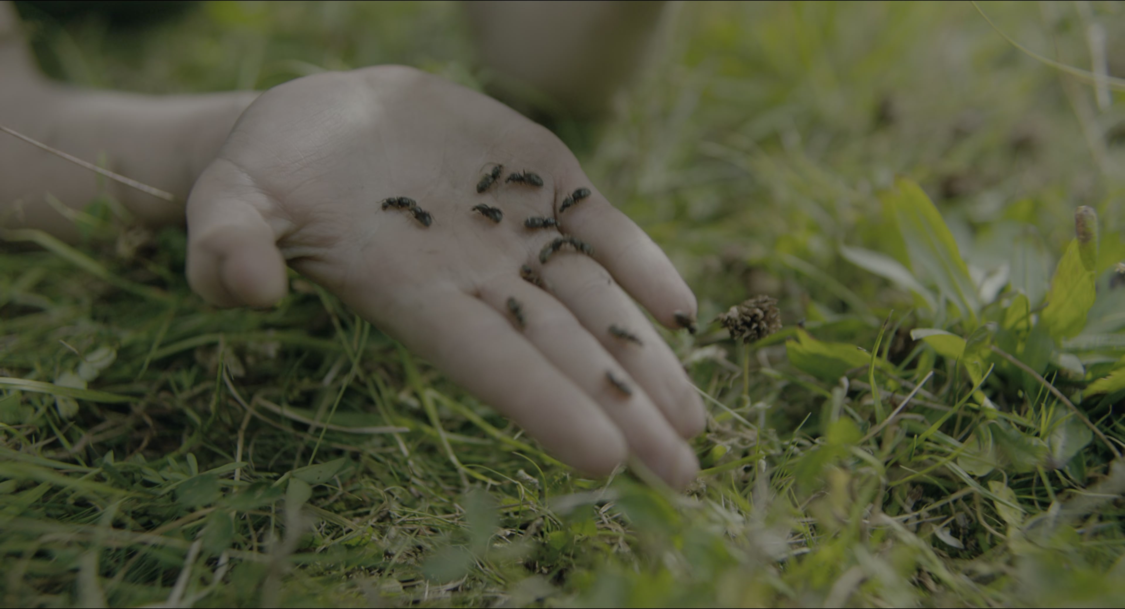 The Secret Garden (2020), wide, 1.85:1 — film still