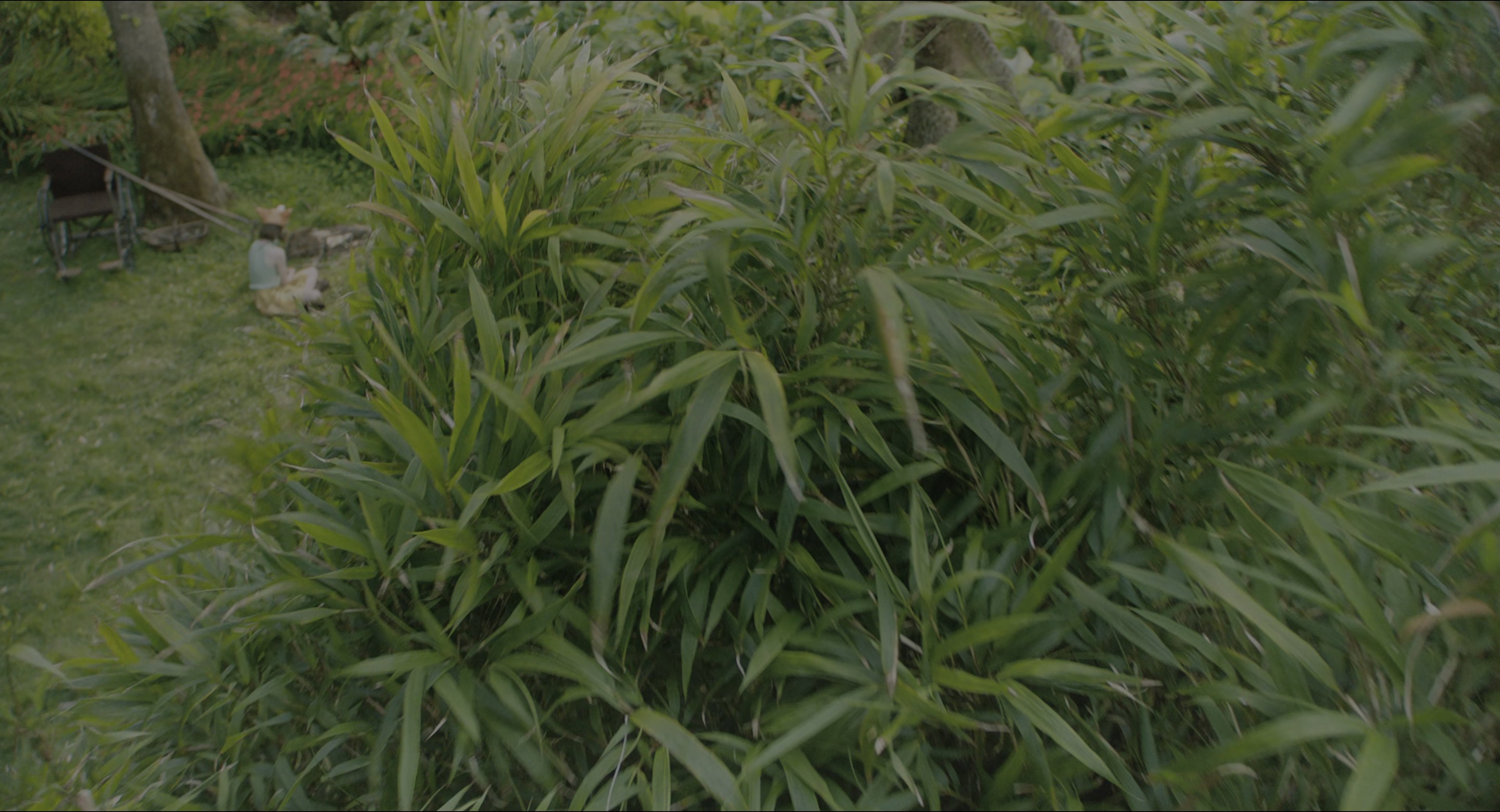 The Secret Garden (2020), wide, 1.85:1 — film still