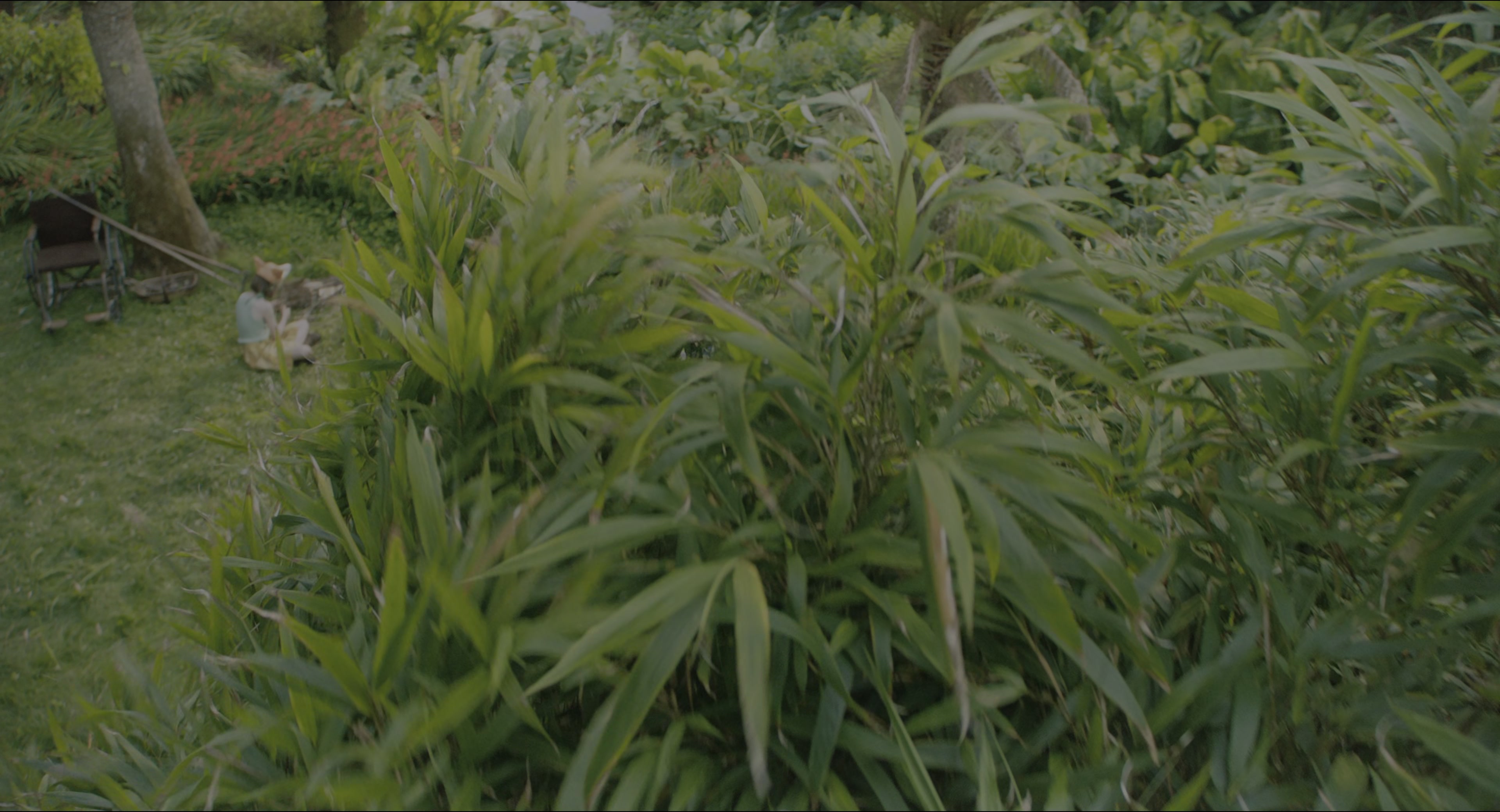 The Secret Garden (2020), wide, 1.85:1 — film still