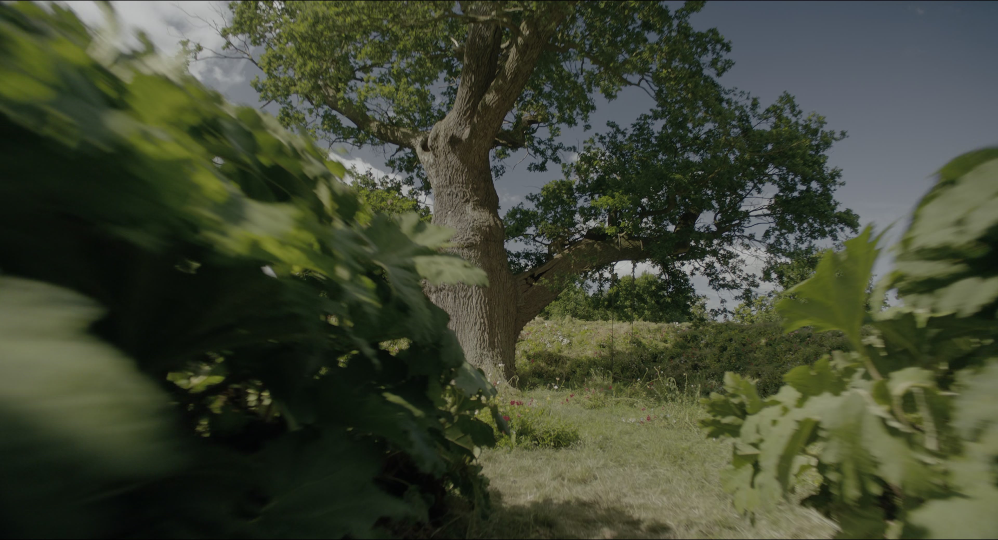 The Secret Garden (2020), wide, 1.85:1 — film still