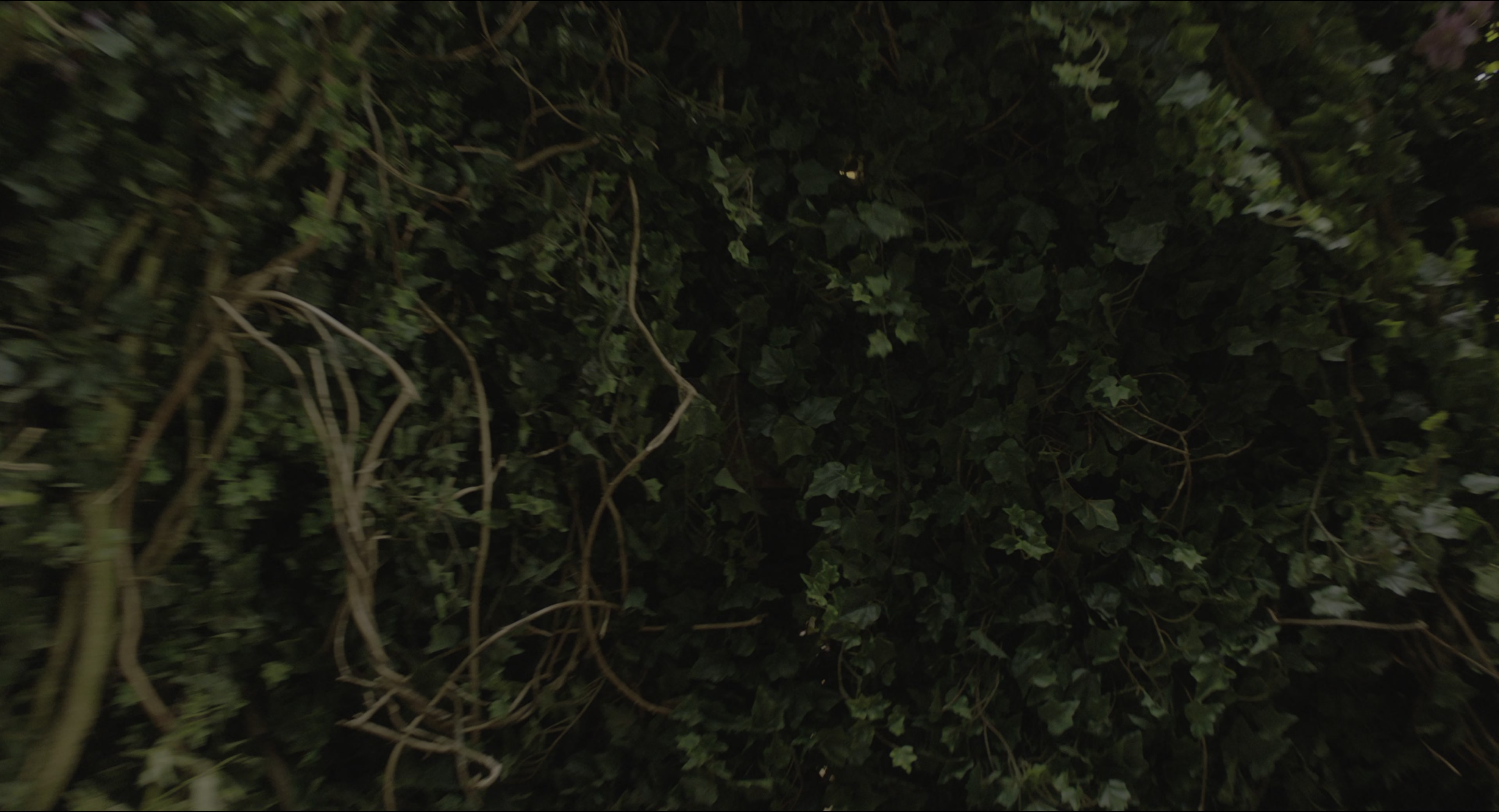 The Secret Garden (2020), wide, 1.85:1 — film still