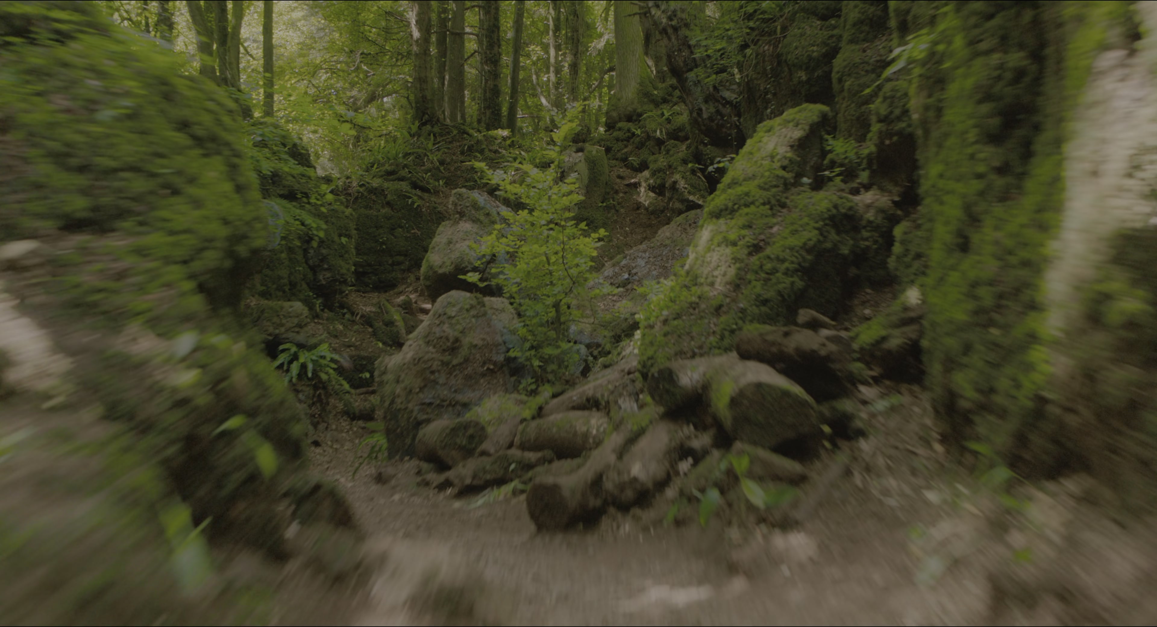 The Secret Garden (2020), wide, 1.85:1 — film still