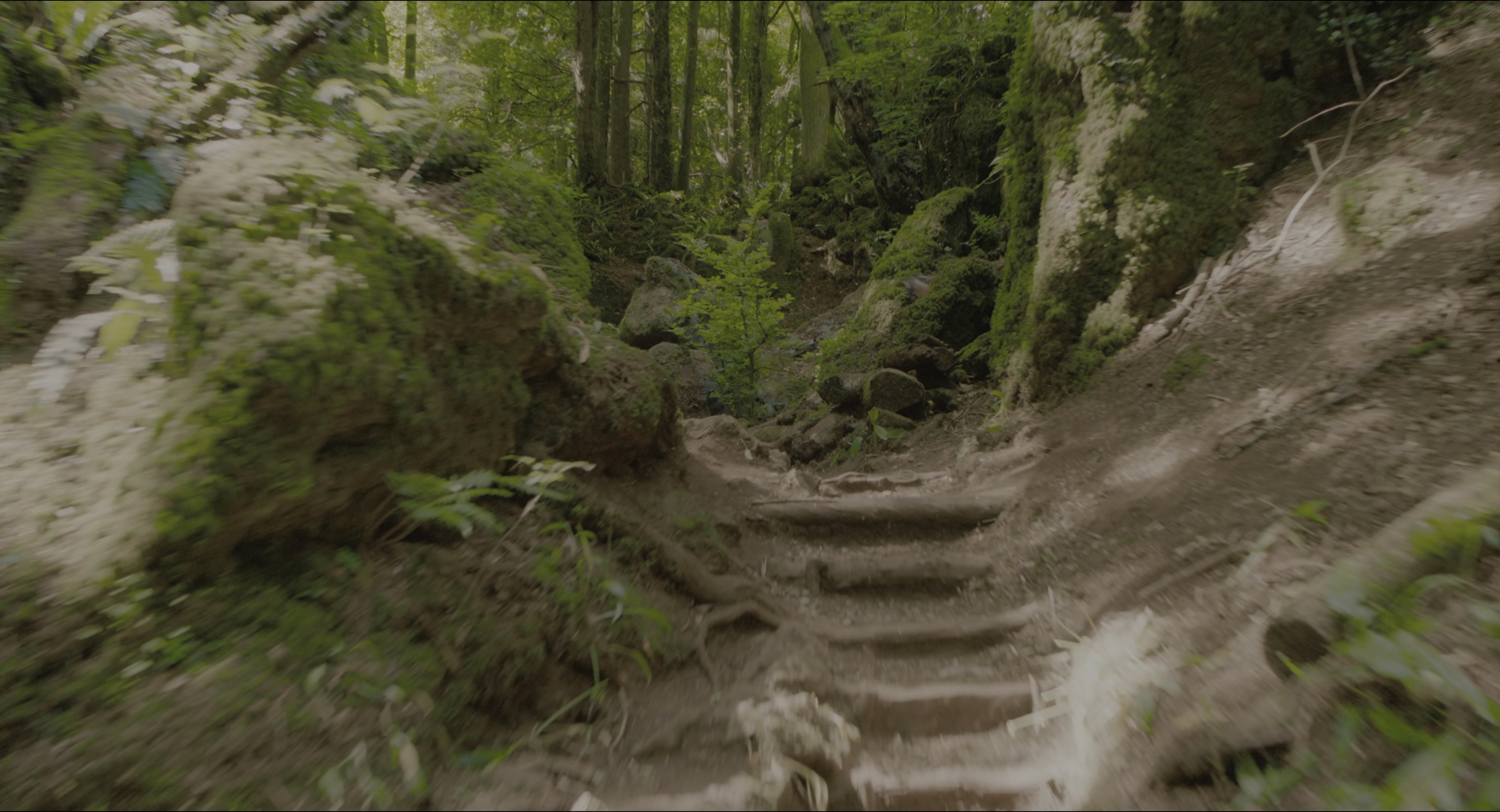 The Secret Garden (2020), wide, 1.85:1 — film still