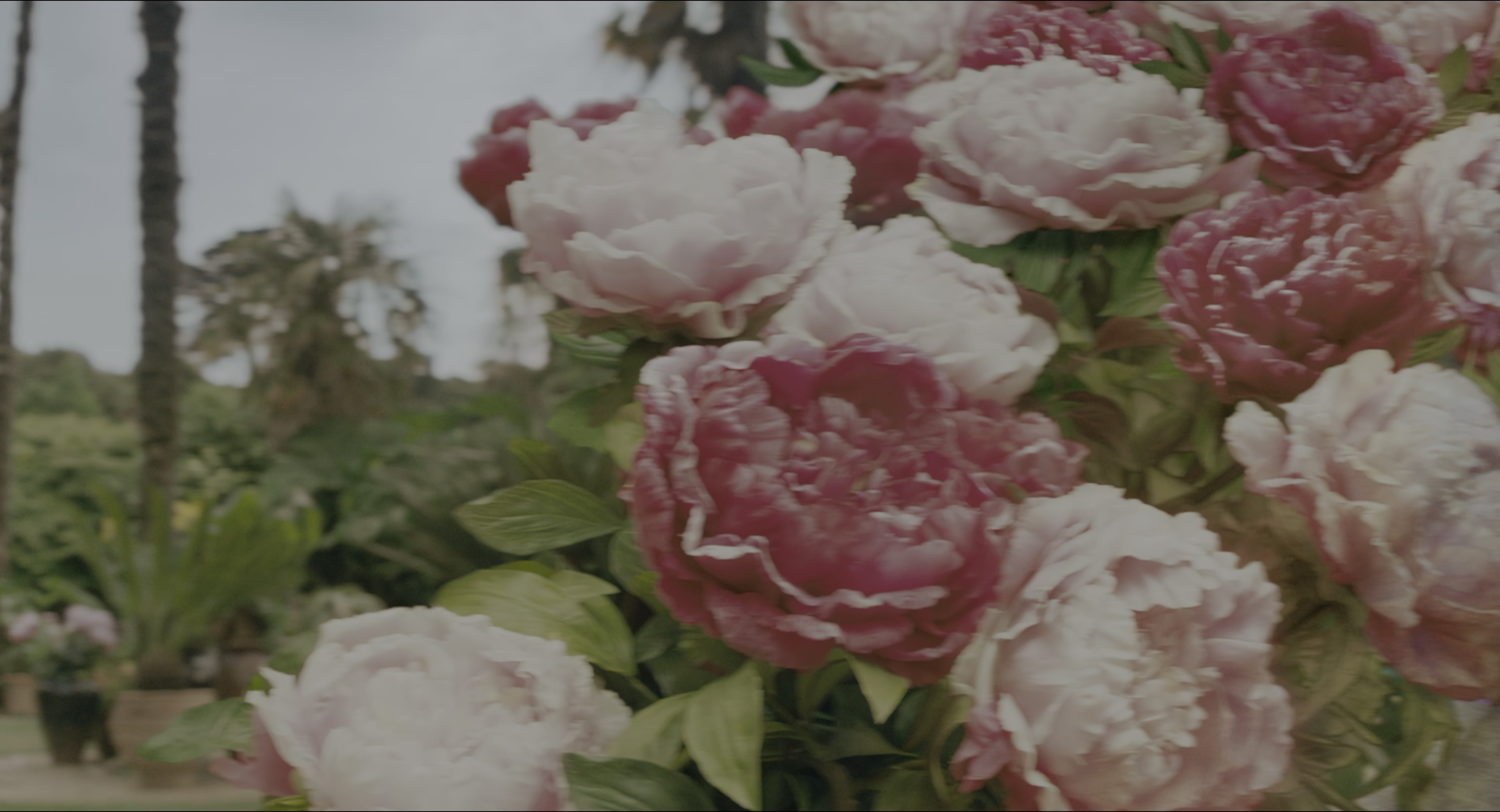 The Secret Garden (2020), unknown, 1.85:1 — film still