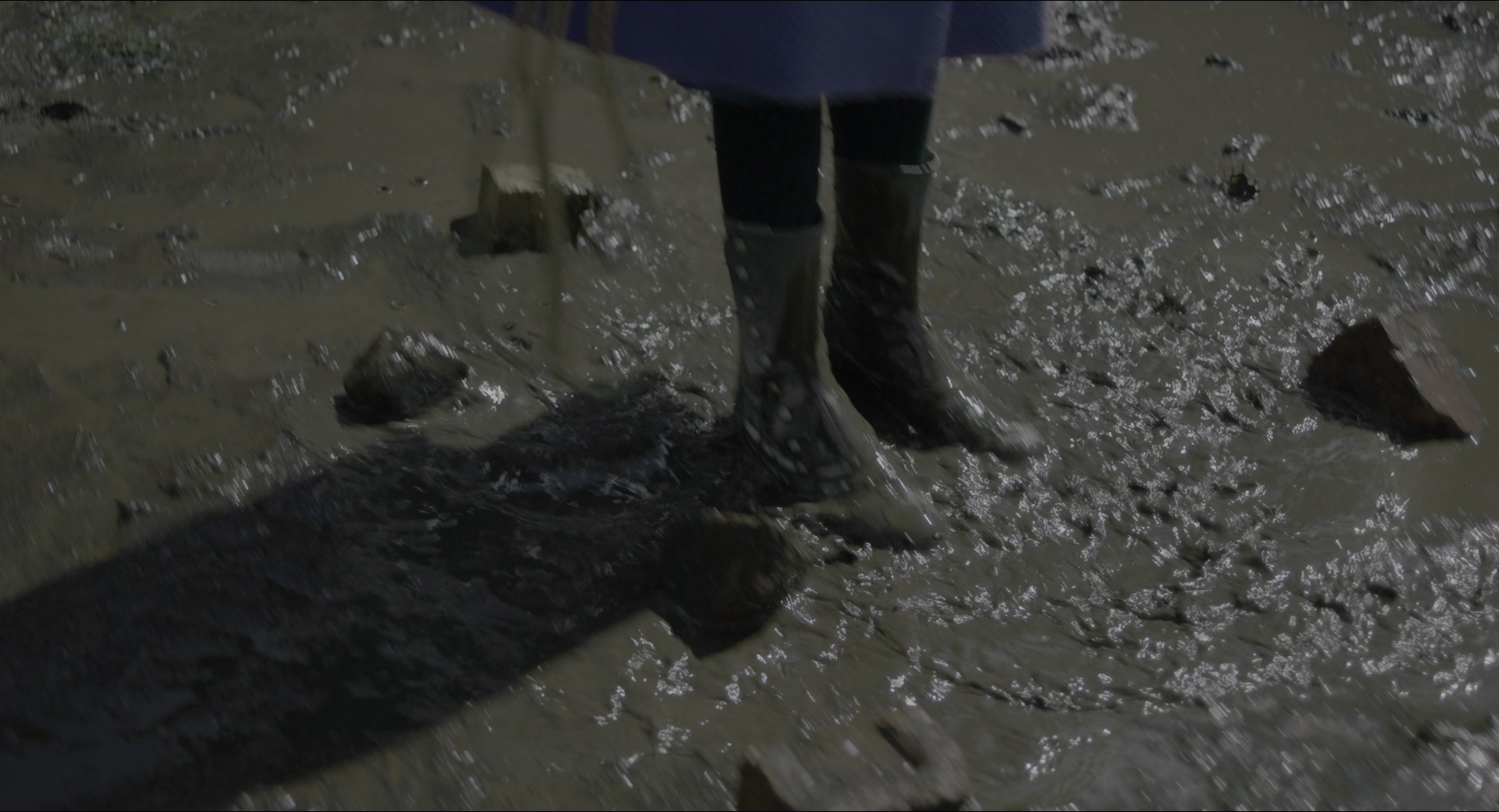 The Secret Garden (2020), wide, 1.85:1 — film still