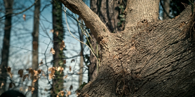 Medium shot frame from Stranger Things — person