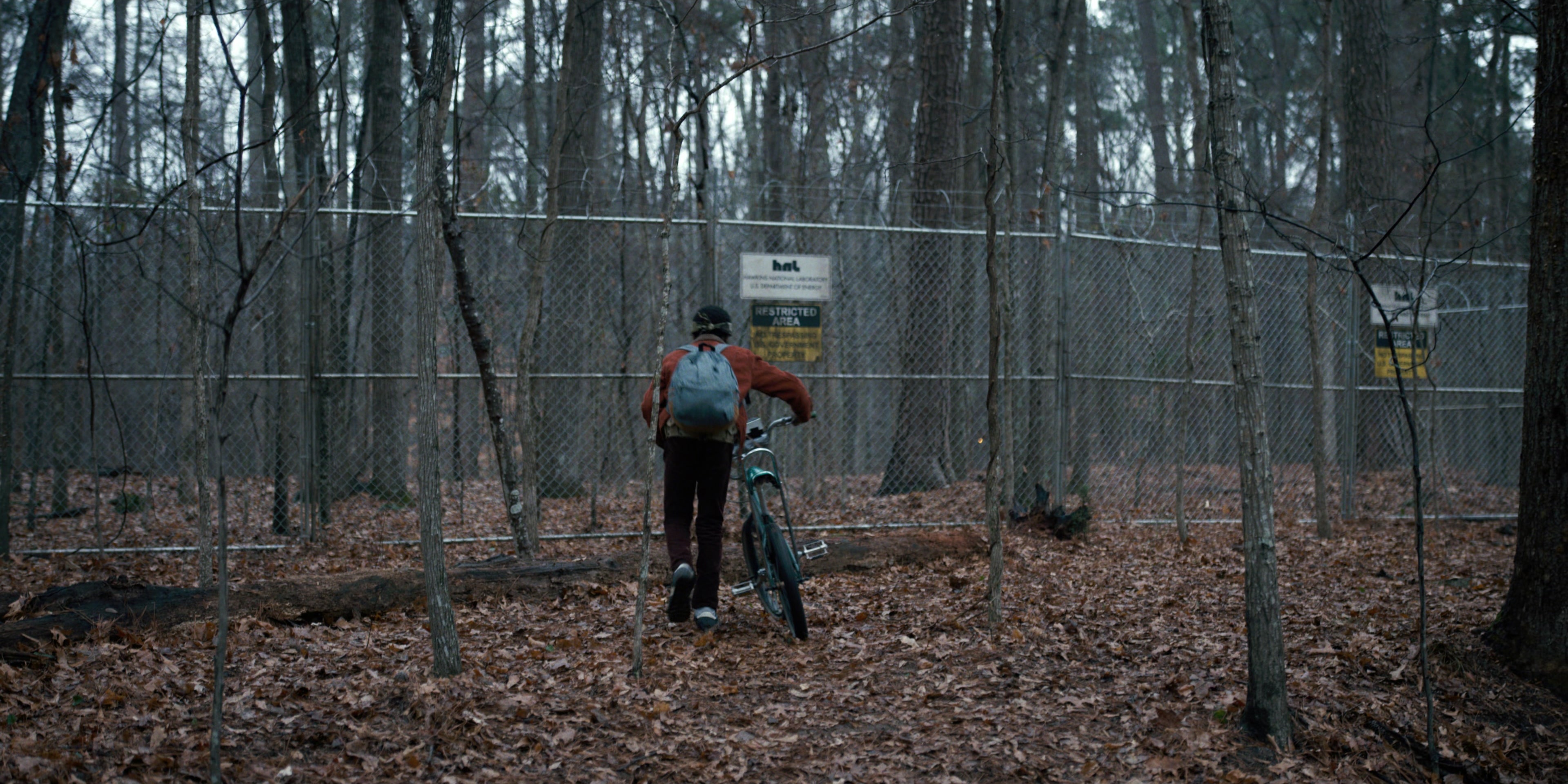 Stranger Things (2016), wide, 2.00:1 — film still