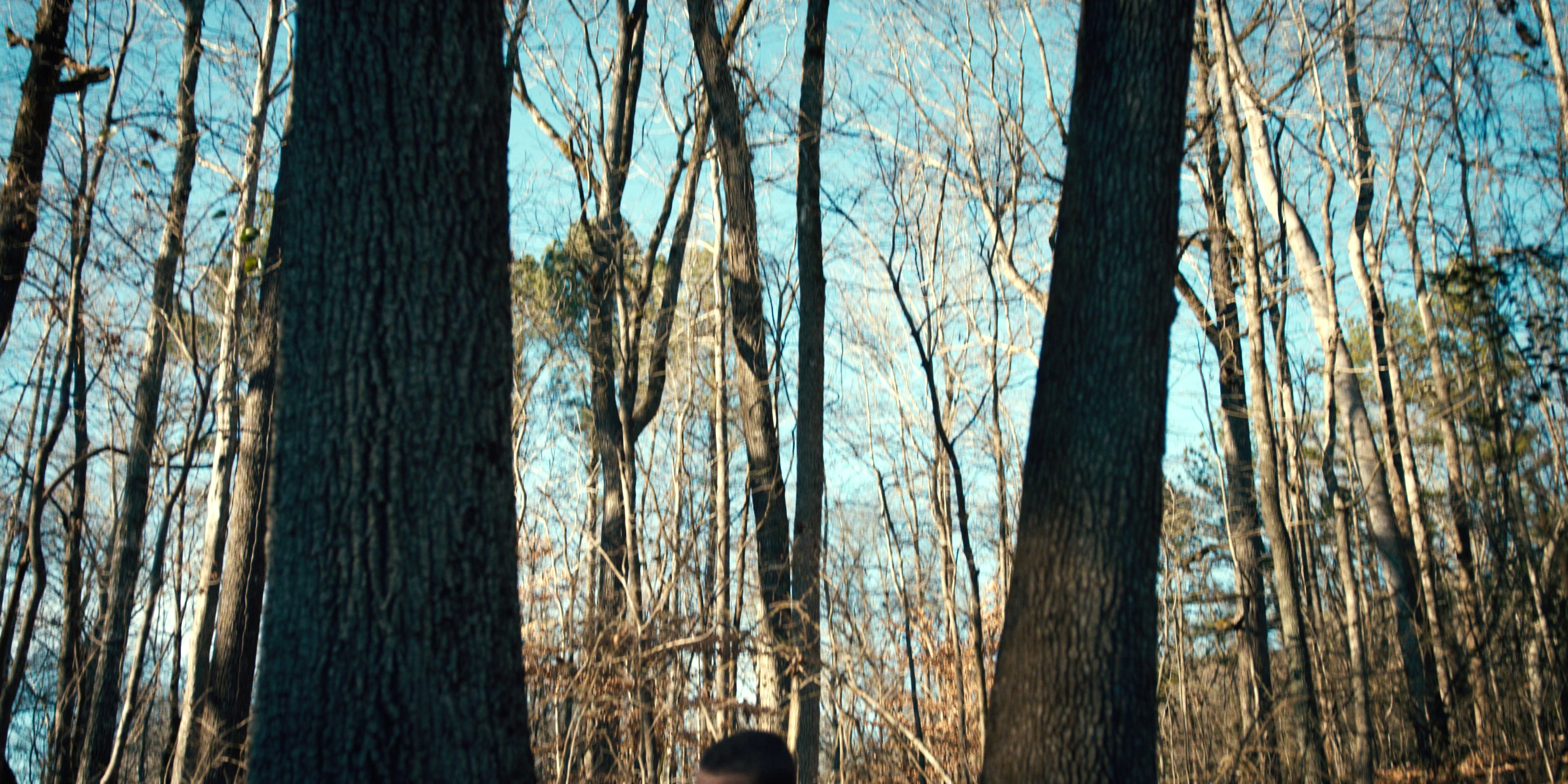 Stranger Things (2016), wide, 2.00:1 — film still