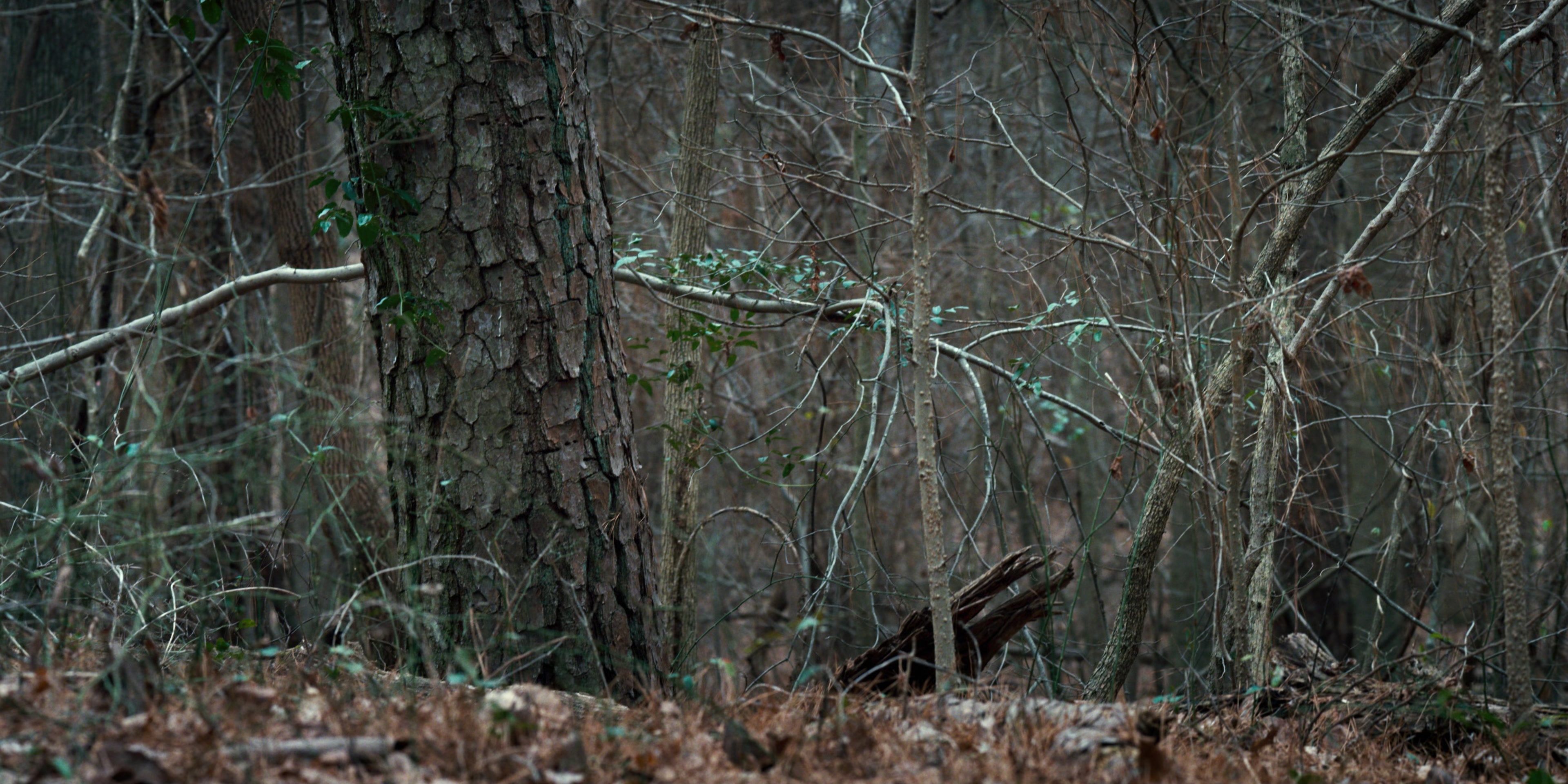 Stranger Things (2016), wide, 2.00:1 — film still