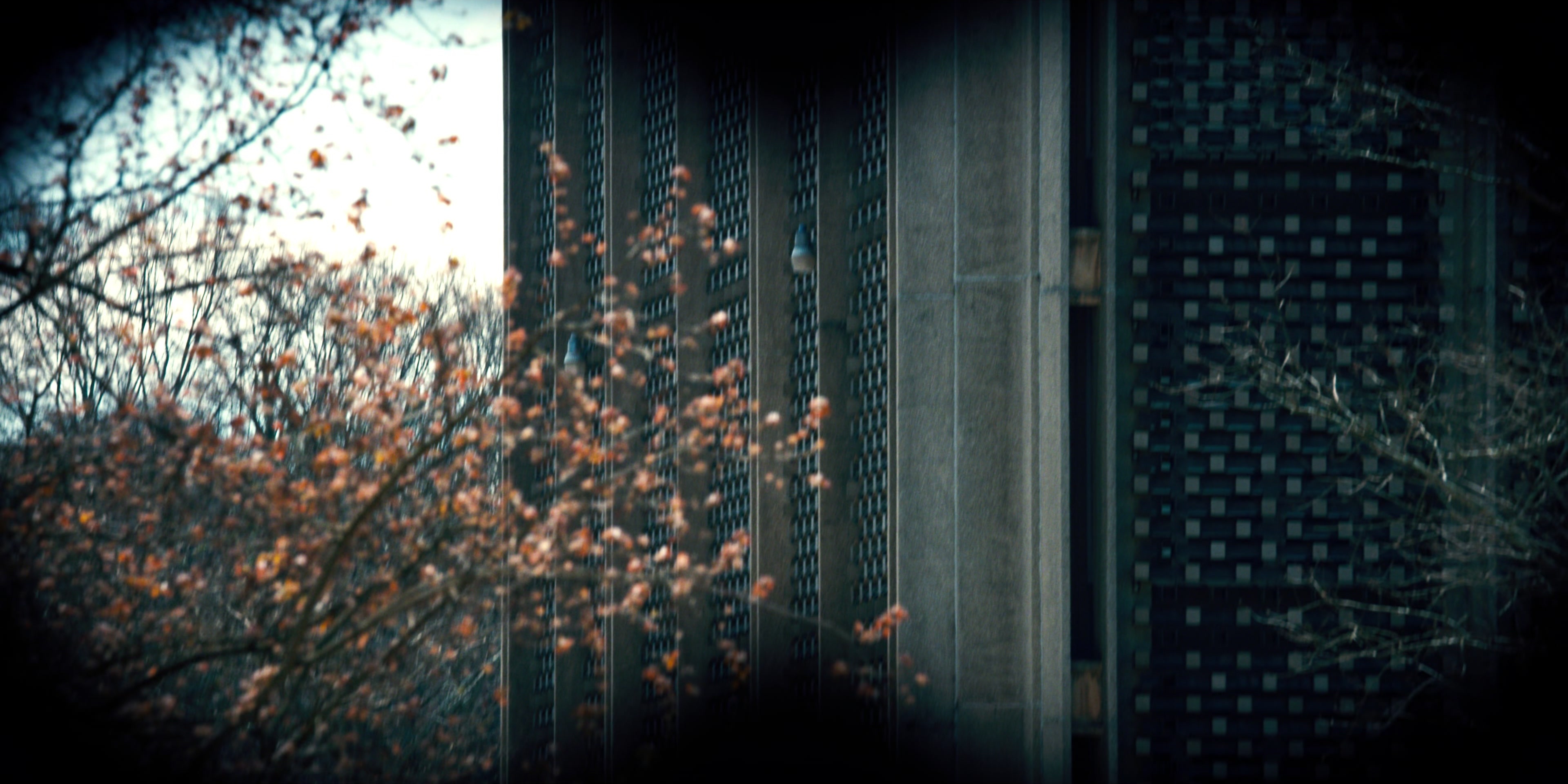 Stranger Things (2016), wide, 2.00:1 — film still