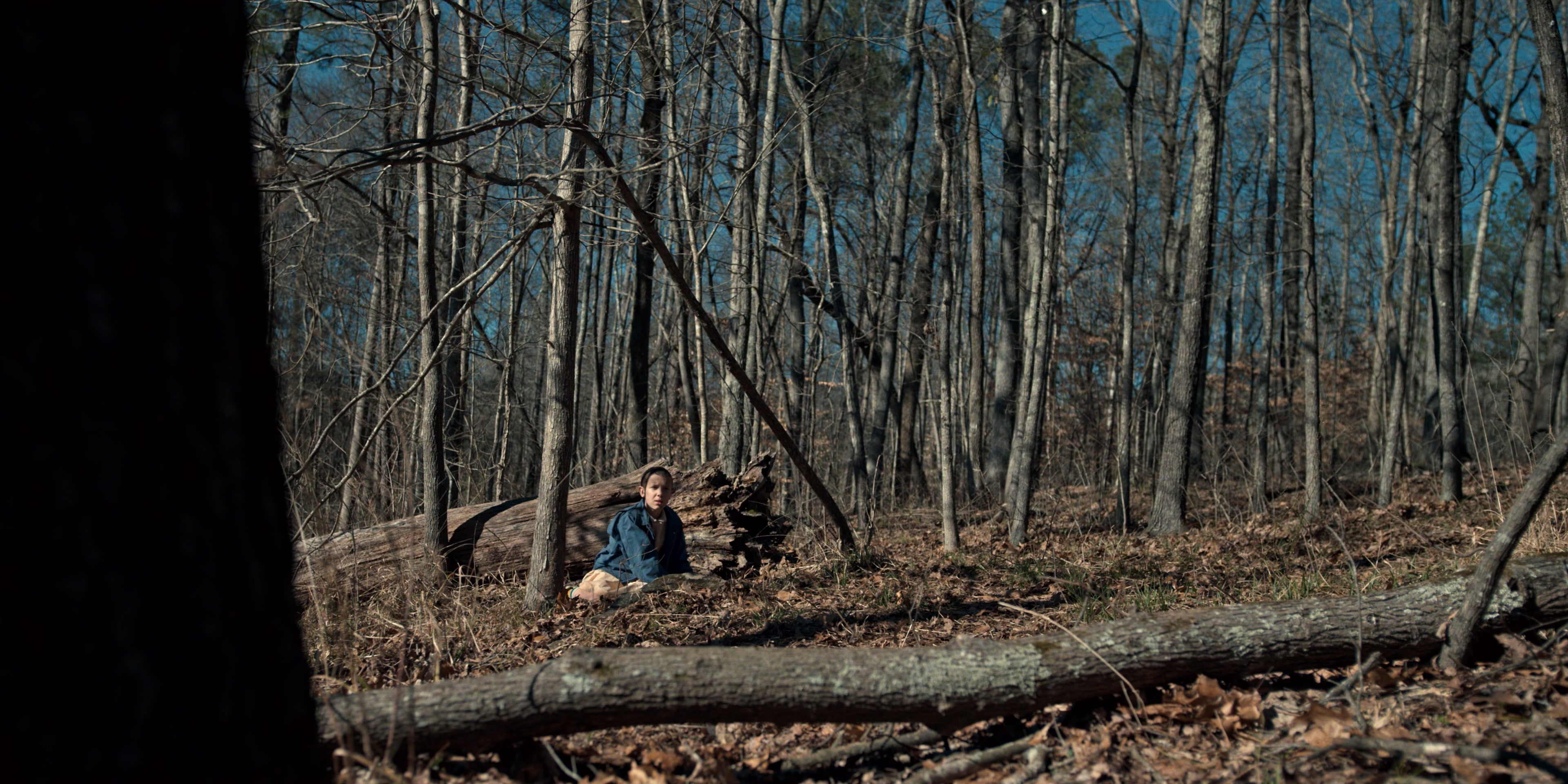 Stranger Things (2016), wide, 2.00:1 — film still
