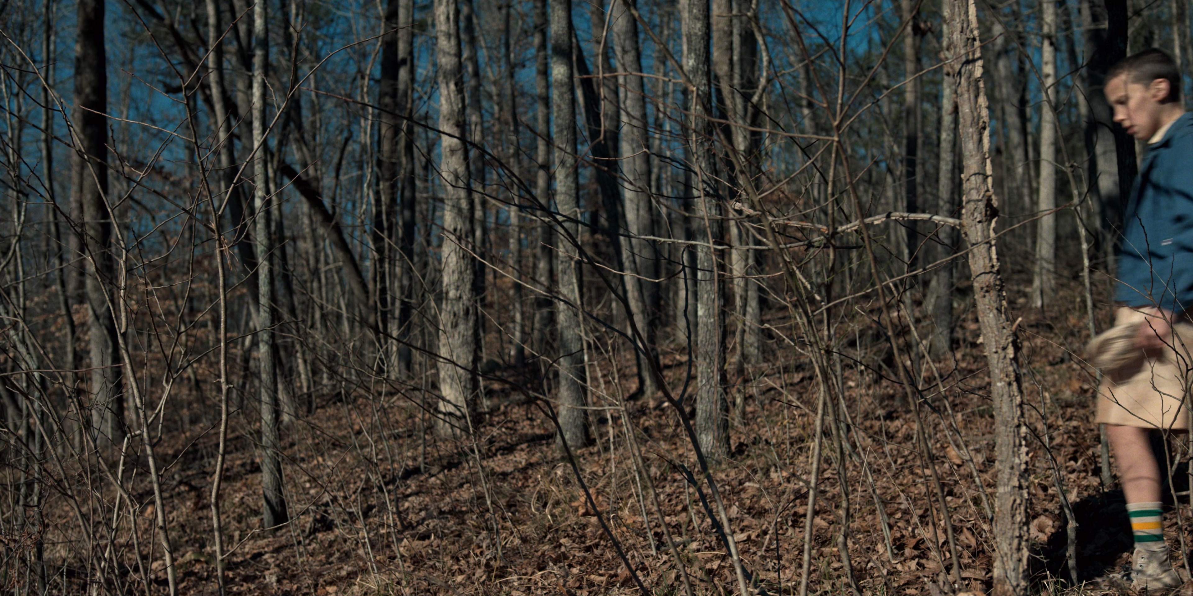 Stranger Things (2016), wide, 2.00:1 — film still