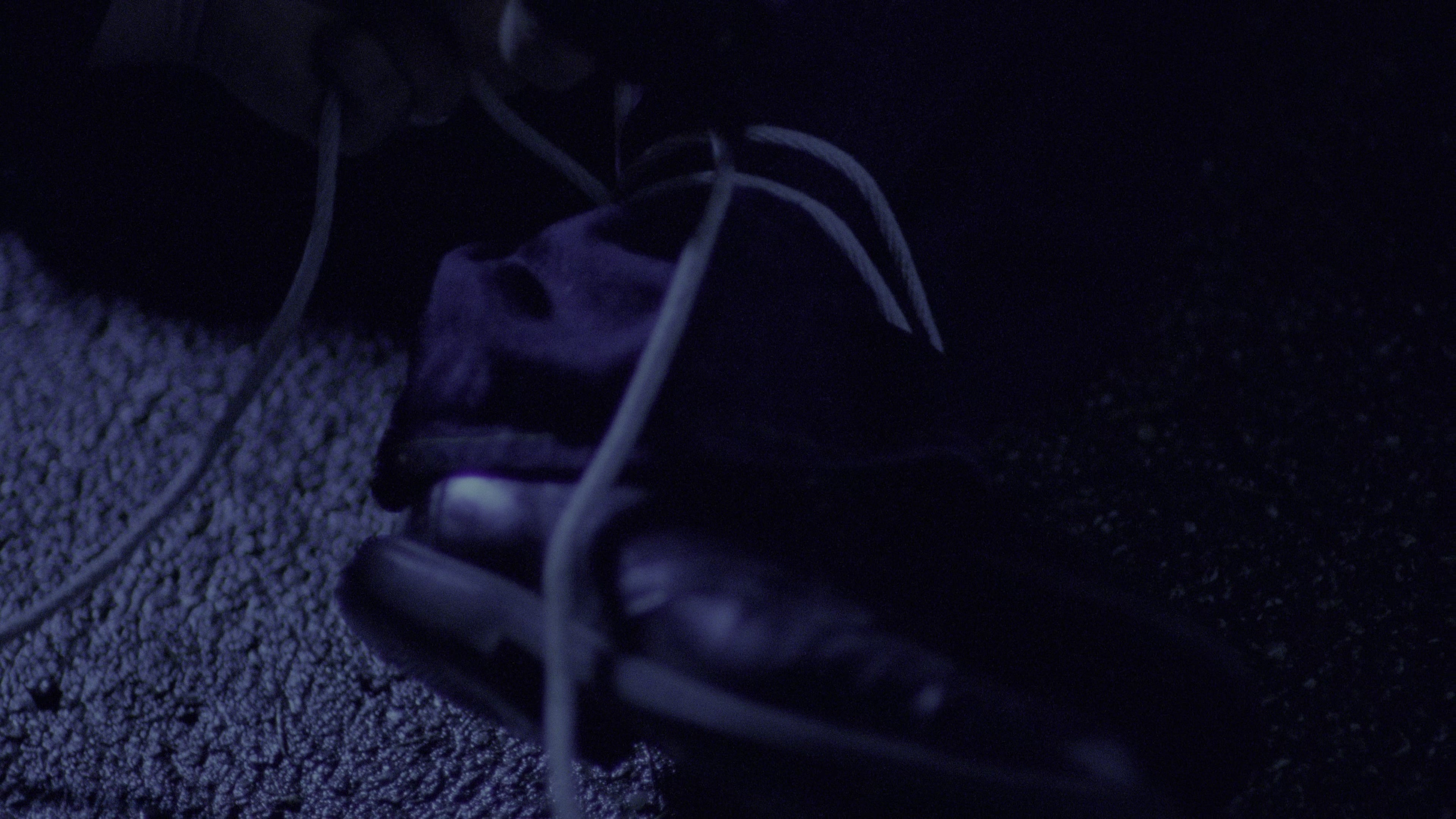 The Limey (1999), wide, 1.78:1 — film still