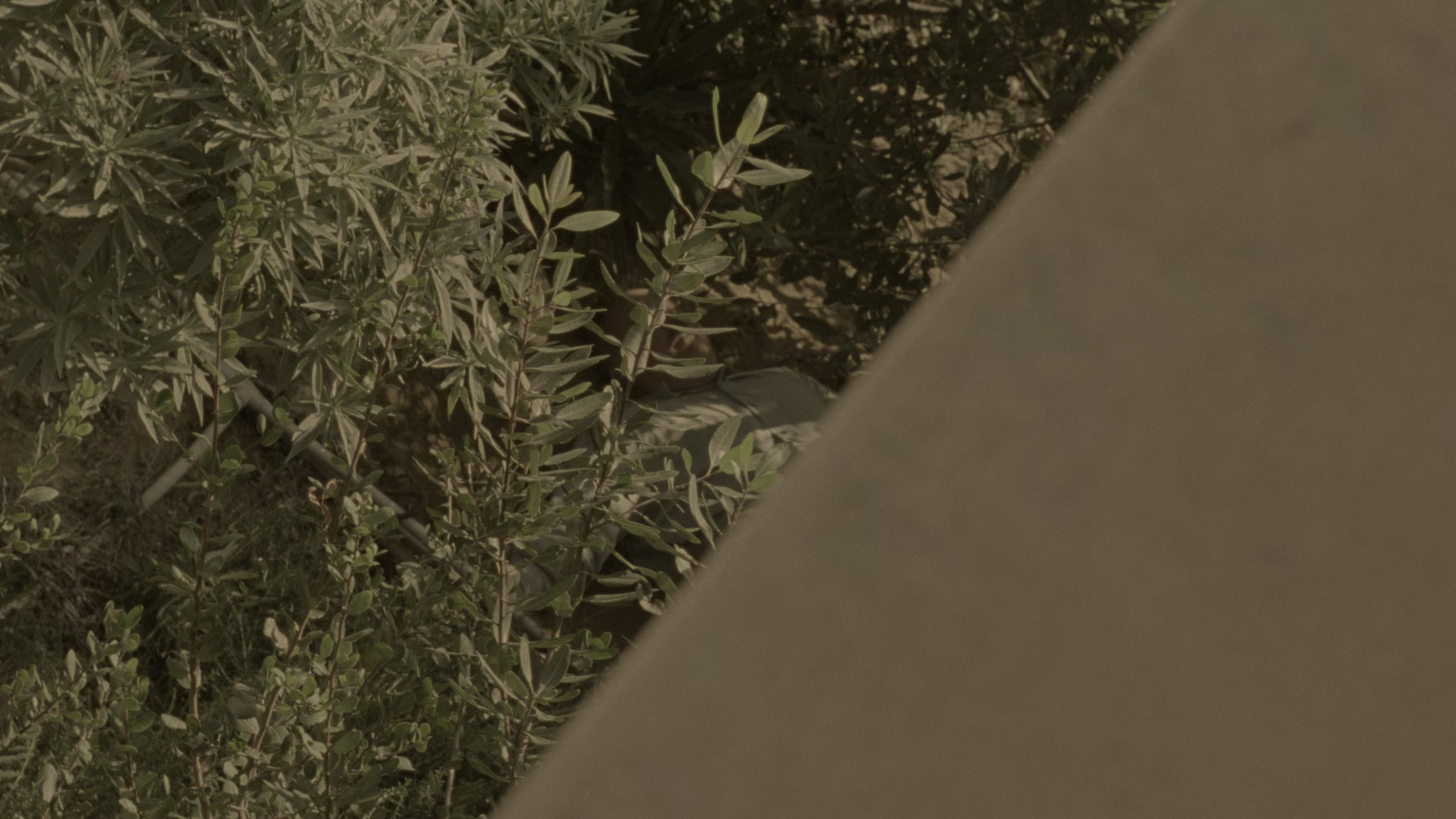 The Limey (1999), wide, 1.78:1 — film still