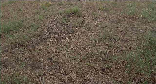 Office Space — film still