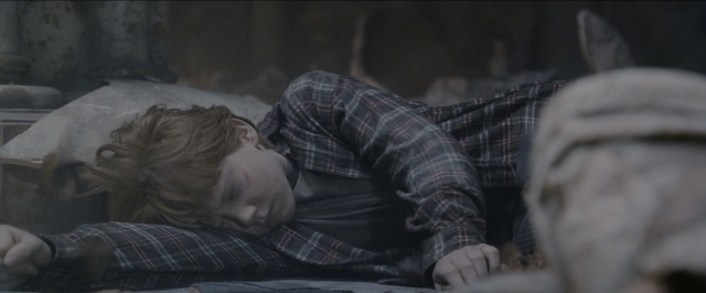 Wide shot frame from Harry Potter and the Sorcerer's Stone — bed, dog, shirt