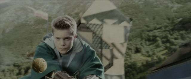 Wide shot frame from Harry Potter and the Sorcerer's Stone — sitting, face, bird