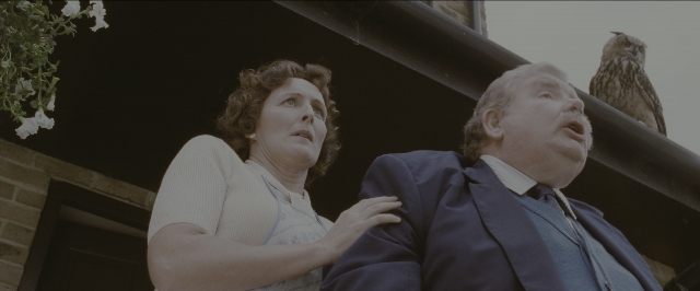 seria-121788.jpg