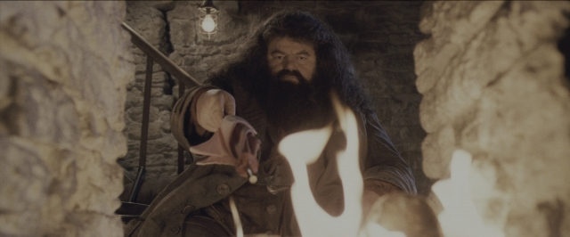 Wide shot frame from Harry Potter and the Sorcerer's Stone — standing, coat, hand