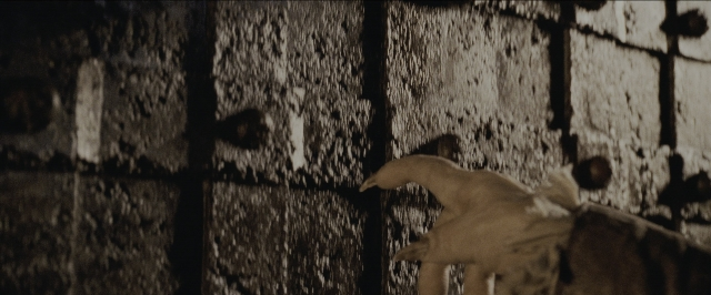 Wide shot frame from Harry Potter and the Sorcerer's Stone — bird