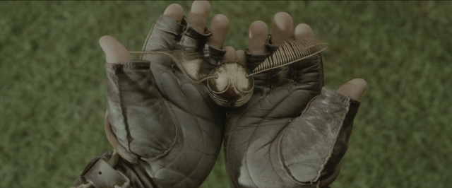 Wide shot frame from Harry Potter and the Sorcerer's Stone — bird, glove