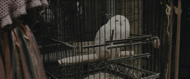 Wide shot frame from Harry Potter and the Sorcerer's Stone — sitting, hand, bird