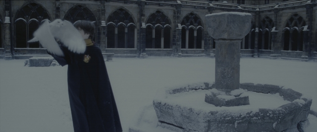 Wide shot frame from Harry Potter and the Sorcerer's Stone — standing, hand, bird