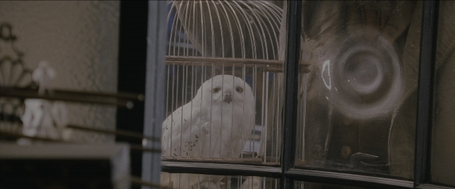 Wide shot frame from Harry Potter and the Sorcerer's Stone — sitting, room, bird