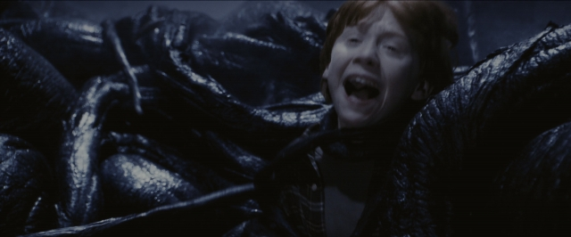 Wide shot frame from Harry Potter and the Sorcerer's Stone — standing, hair, smoke