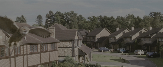 Wide shot frame from Harry Potter and the Sorcerer's Stone — street, house, bird