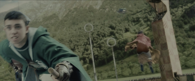 Wide shot frame from Harry Potter and the Sorcerer's Stone — standing, face, bird