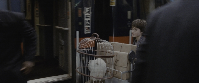 Wide shot frame from Harry Potter and the Sorcerer's Stone — standing, door, hand